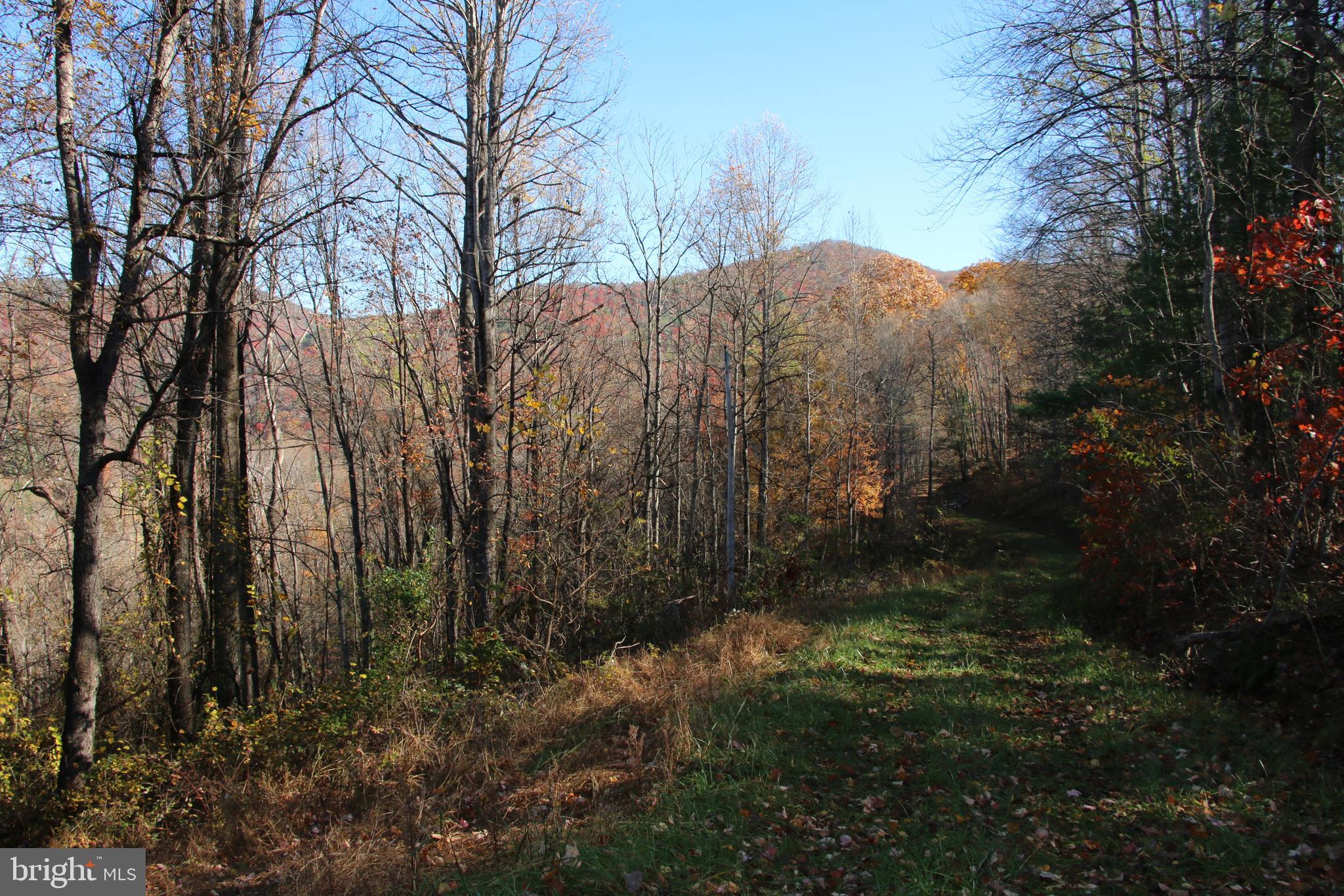 OVERLOOK MOUNTAIN - Land