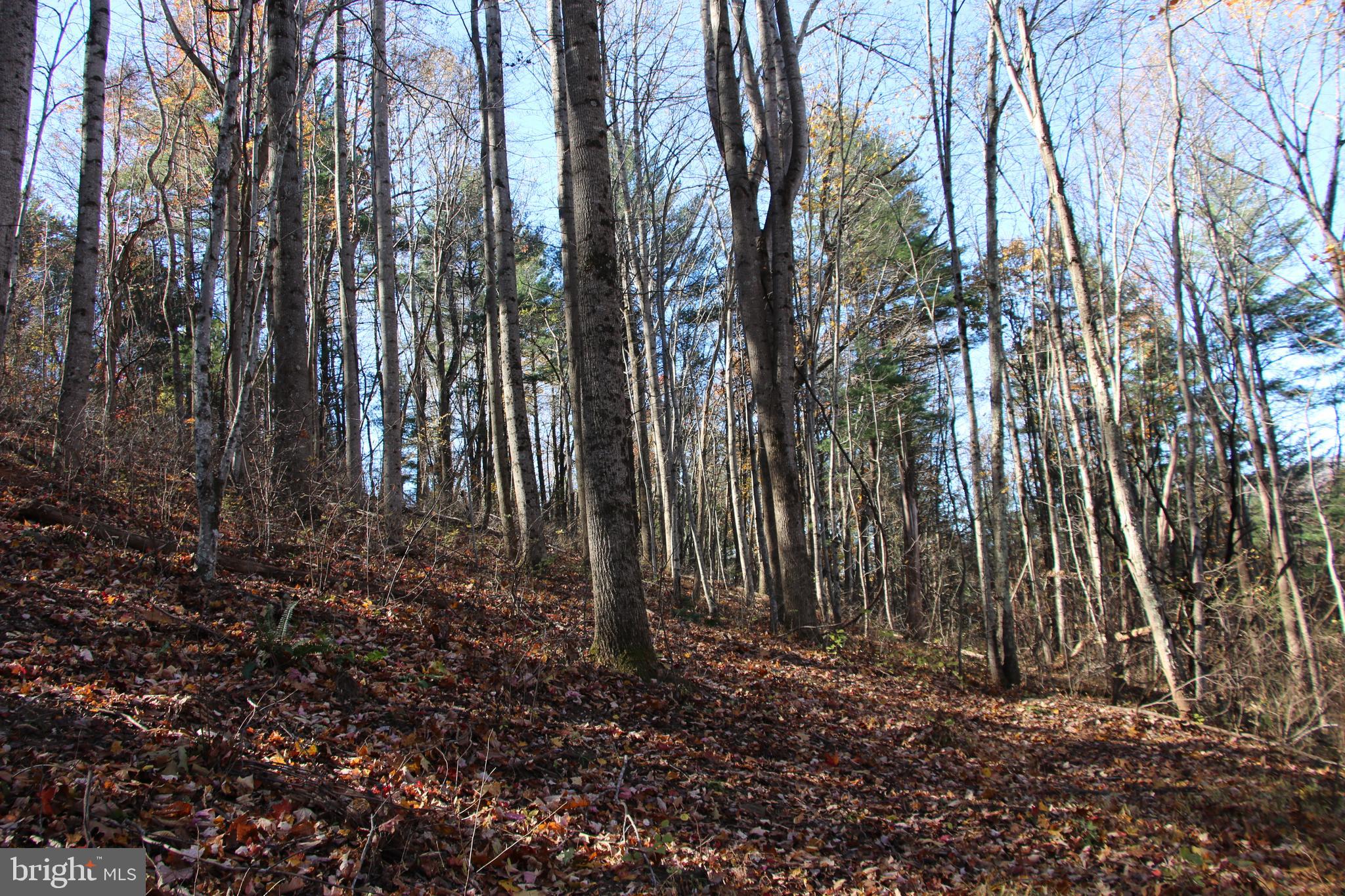OVERLOOK MOUNTAIN - Land