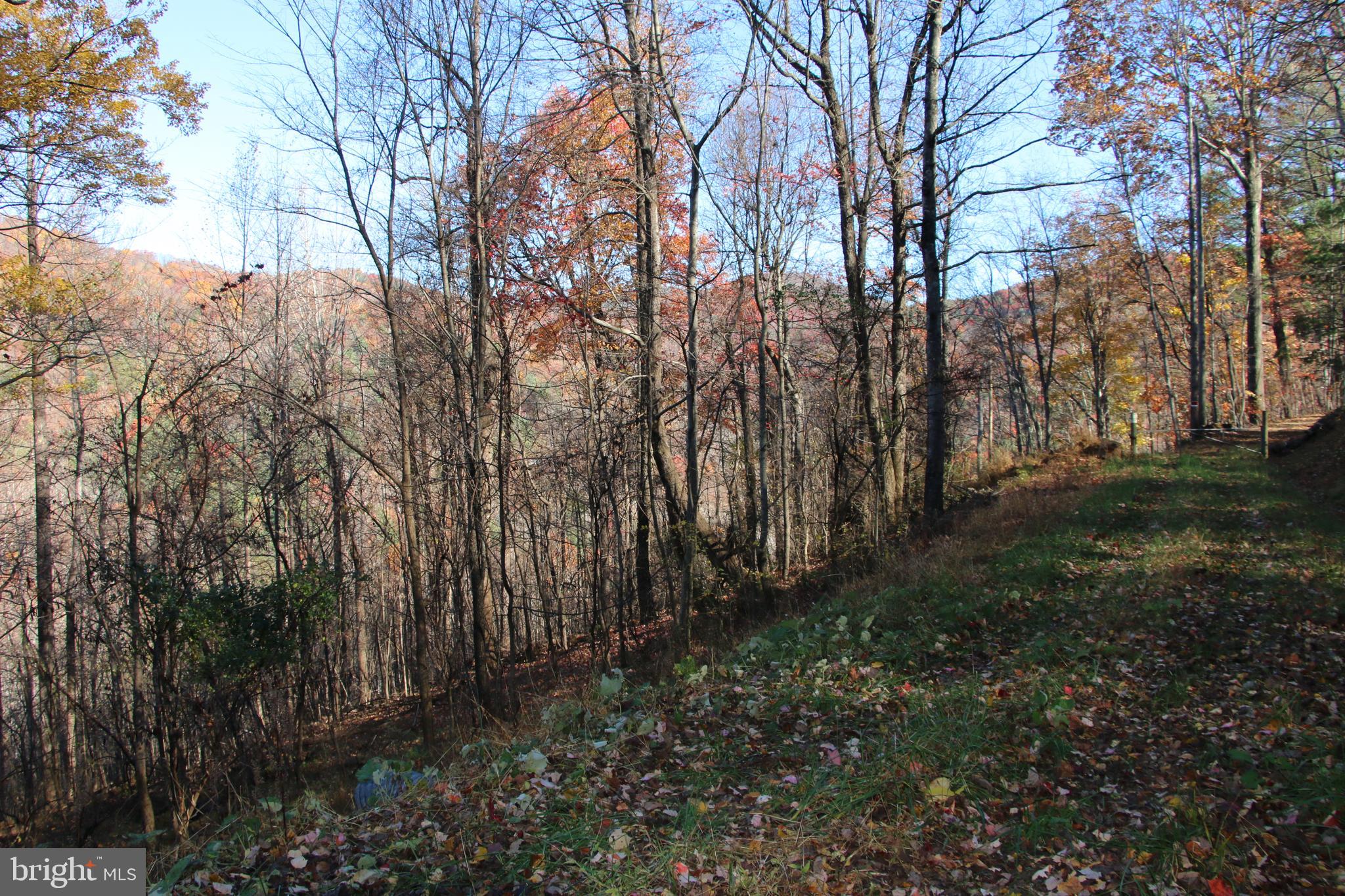 OVERLOOK MOUNTAIN - Land