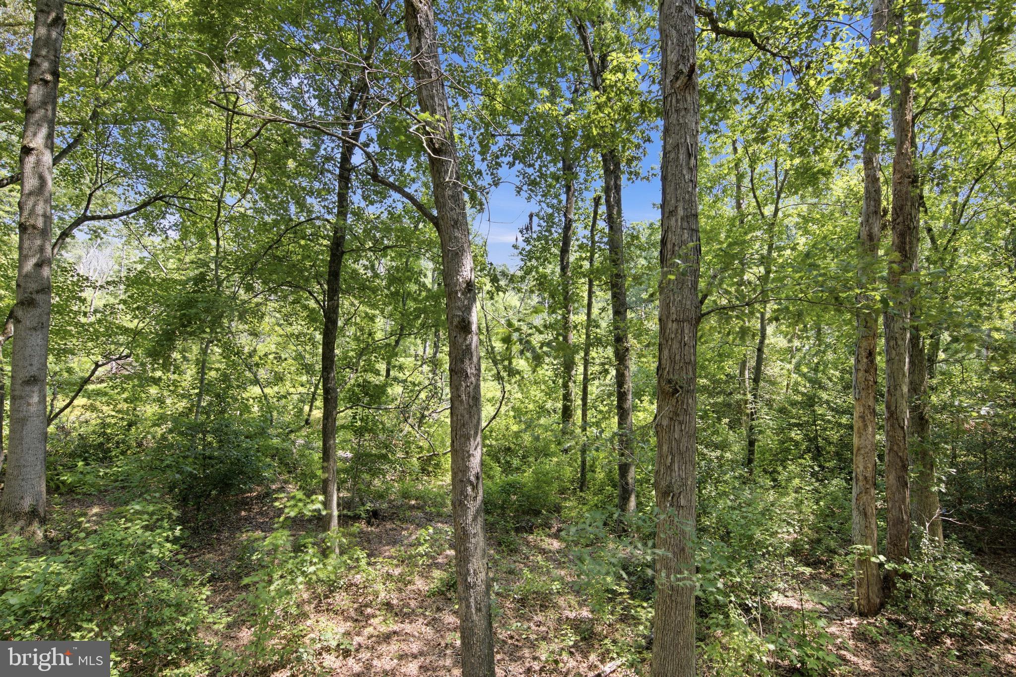 BEAVER RUN - Residential