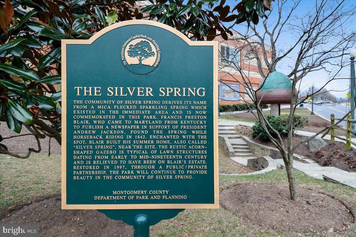 DOWNTOWN SILVER SPRING - Residential