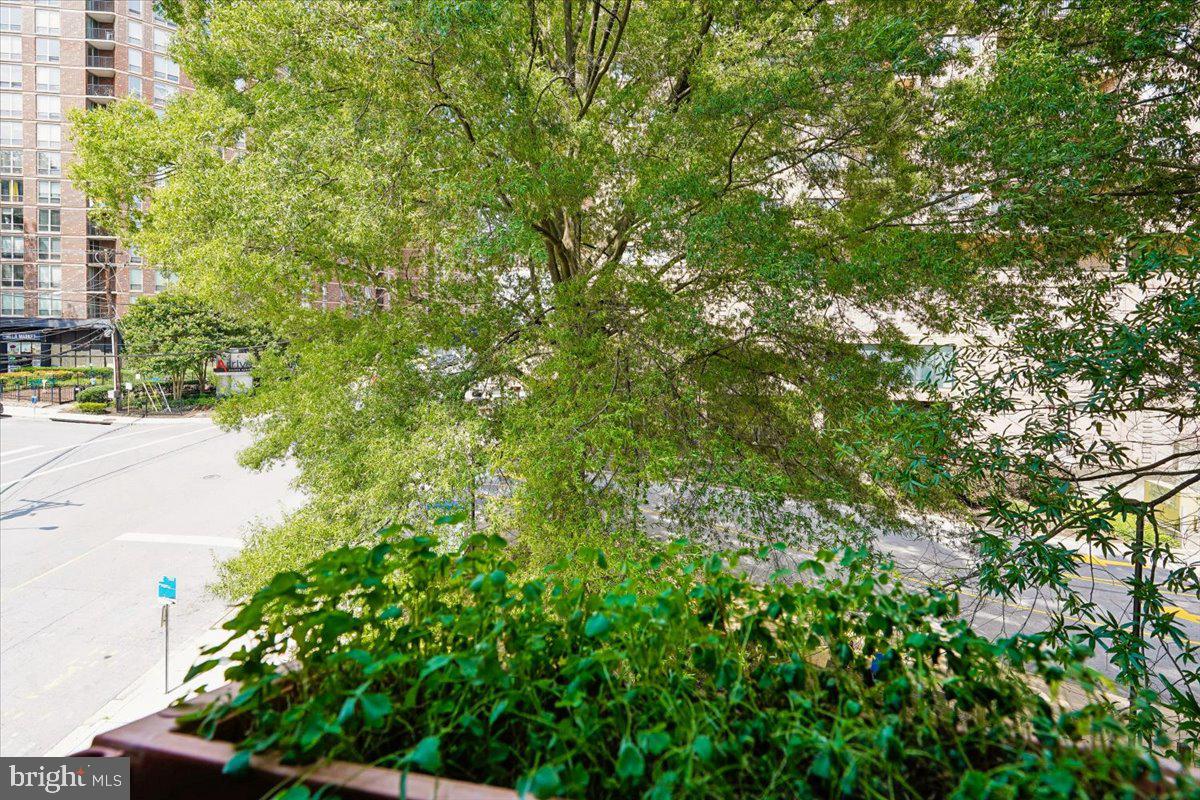 DOWNTOWN SILVER SPRING - Residential