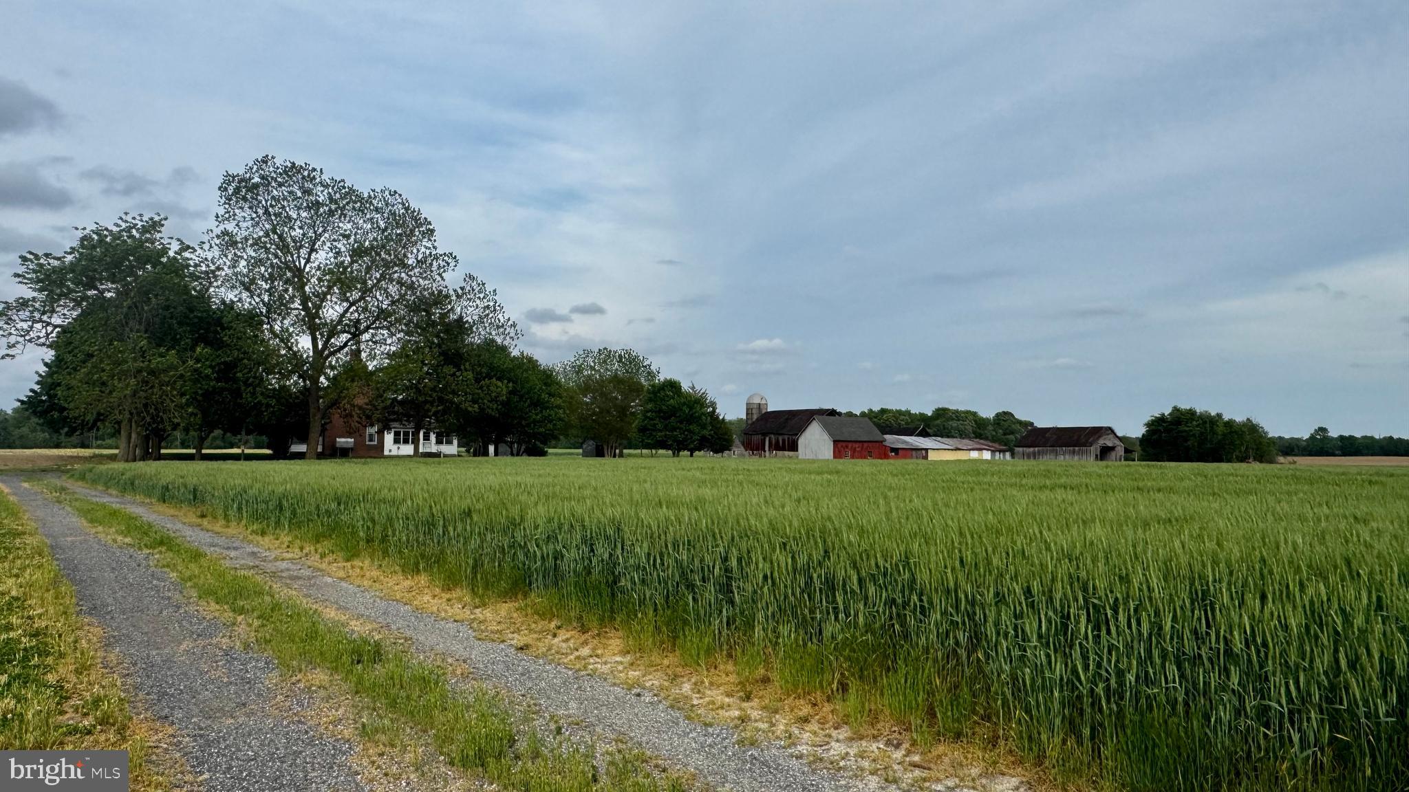 Bridgewater Farm - 12633 CONNELLY ROAD, CORDOVA MD 21625
137± Acres - consisting of approximately 105± tillable, 20± acres of woodland, and the balance around the house, driveway, and hedges.  The property is improved by a circa 1870 brick farmhouse with a basement and several sheds, barn, well, and septic.  Health Department information on file showing 1980 septic and 1986 well.  Property sold ‘as-is’.  **Existing farm lease. Call agent for details.
The residence provides late-19th-century architecture that is remarkably intact for a rural brick farmhouse.  Significant features include the 13 cornices along the northern portion of the house, thick masonry walls, and brick lintel detailing above the windows.  Later additions include the kitchen wing with a bedroom above and a three-season porch.  There are two basements with a dirt floor and shoring with an interior concrete block retaining wall.  The underside of the house is accessible to witness the condition and assess for renovation.
Additional structures include a period barn and sheds.


Offers considered beginning 5.13.26 to allow adequate time on the market. 
Showing by appointment only.