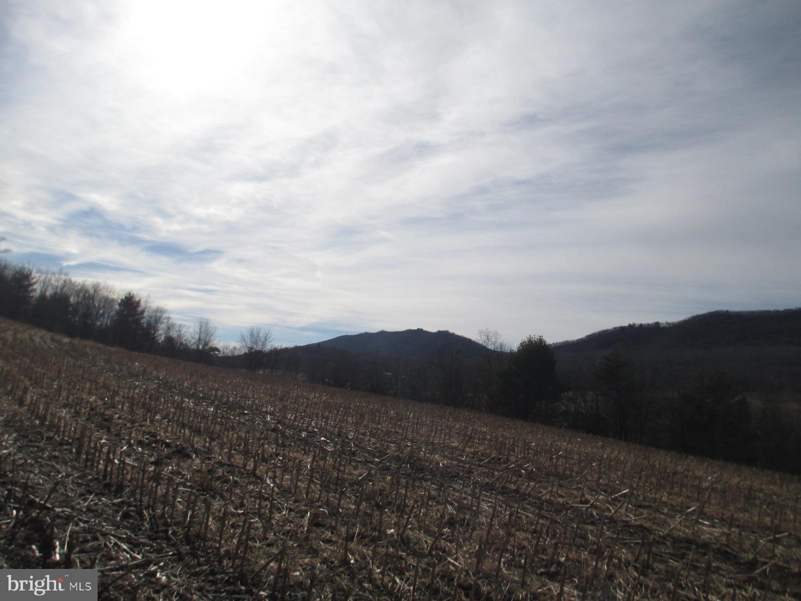 With no local zoning, you can build your dream home/weekend home on this 10.94 acres just minutes from Lake Raystown.  Approximately 4.15 acres of open/tillable ground with the rest being wooded.
