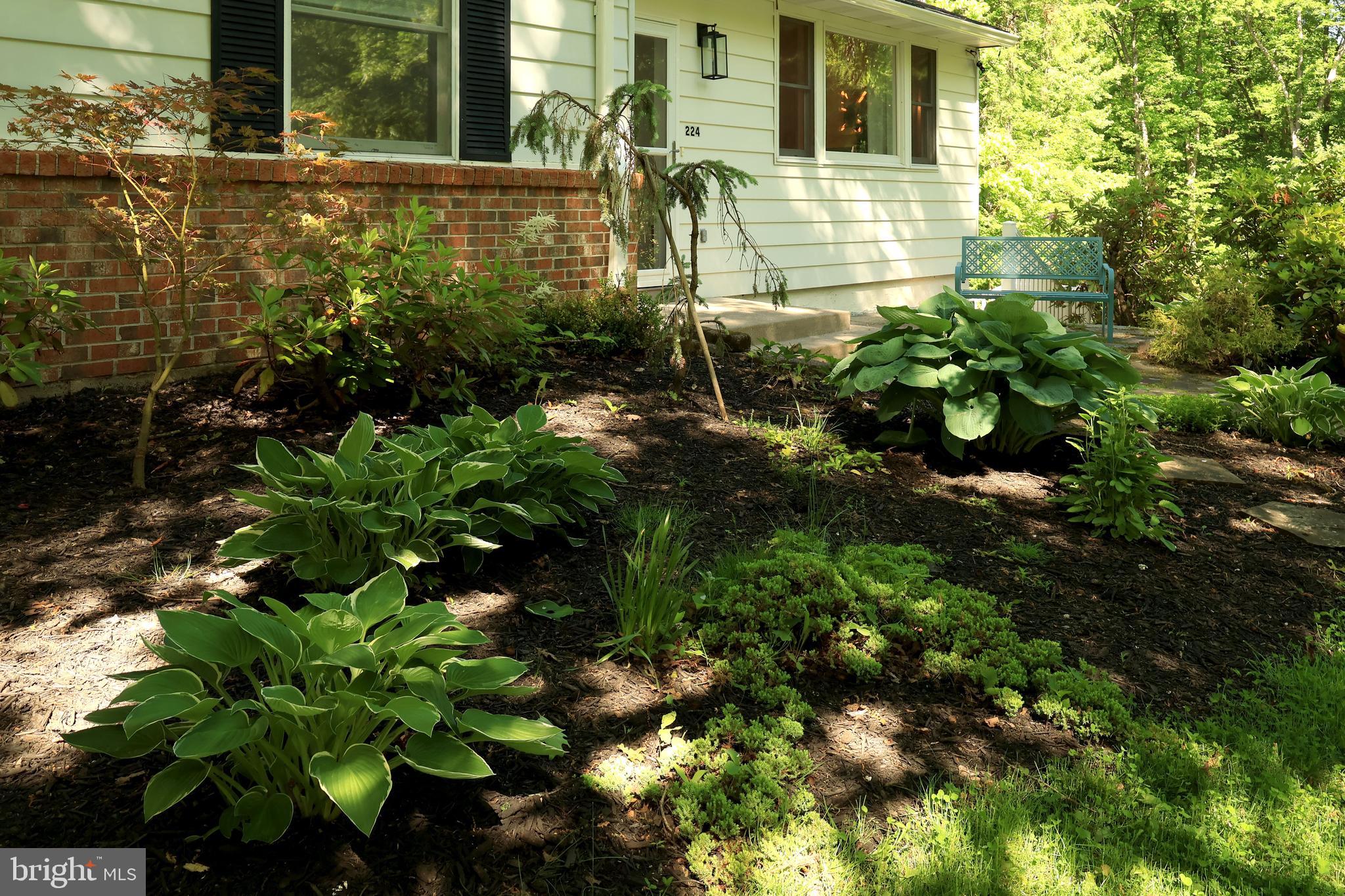 PARK FOREST VILLAGE - Residential