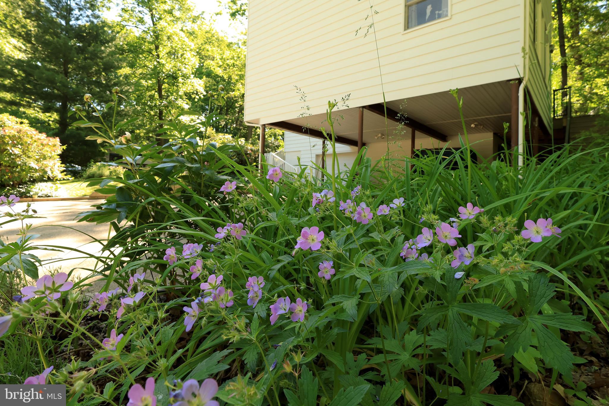 PARK FOREST VILLAGE - Residential
