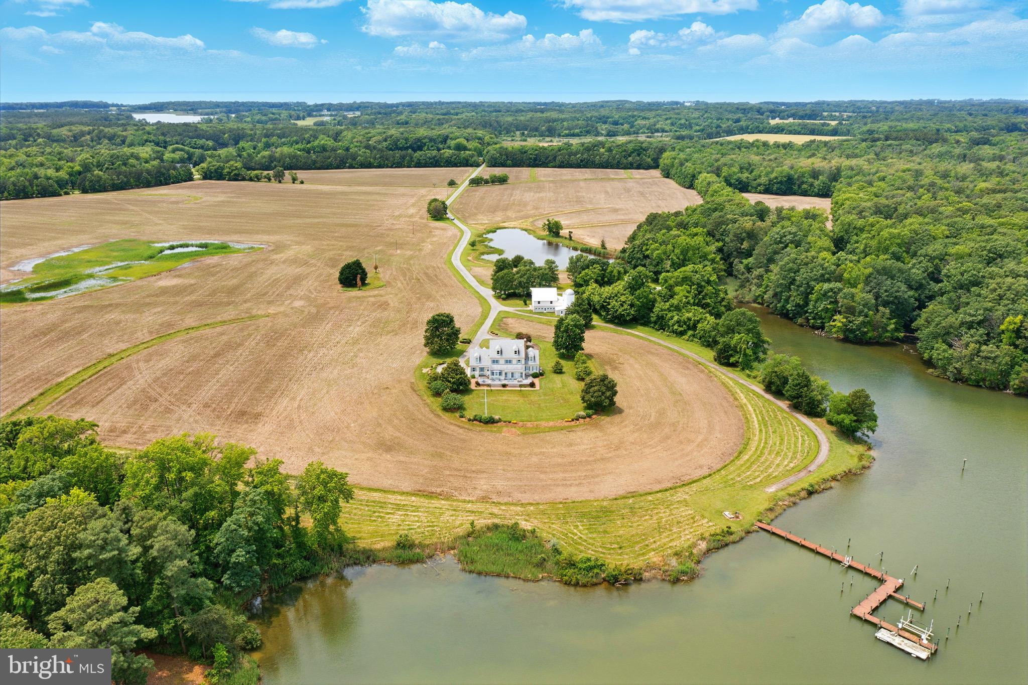 PINEY NECK - Farm