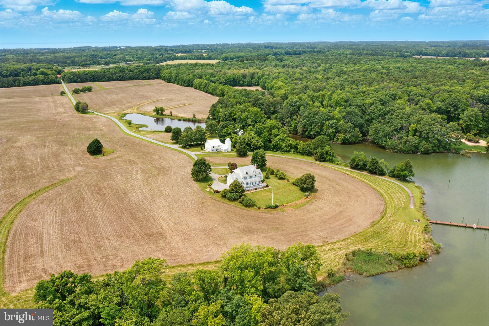 PINEY NECK - Farm