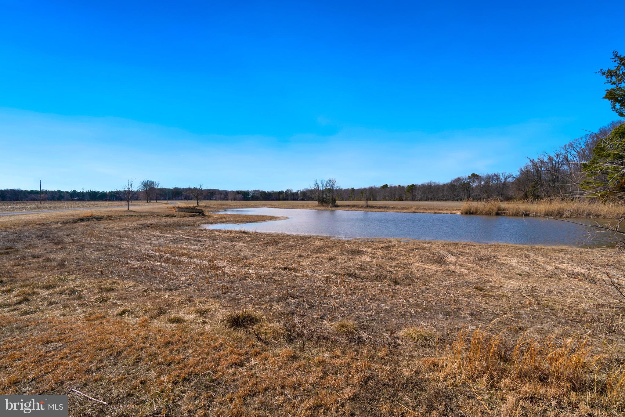 PINEY NECK - Farm