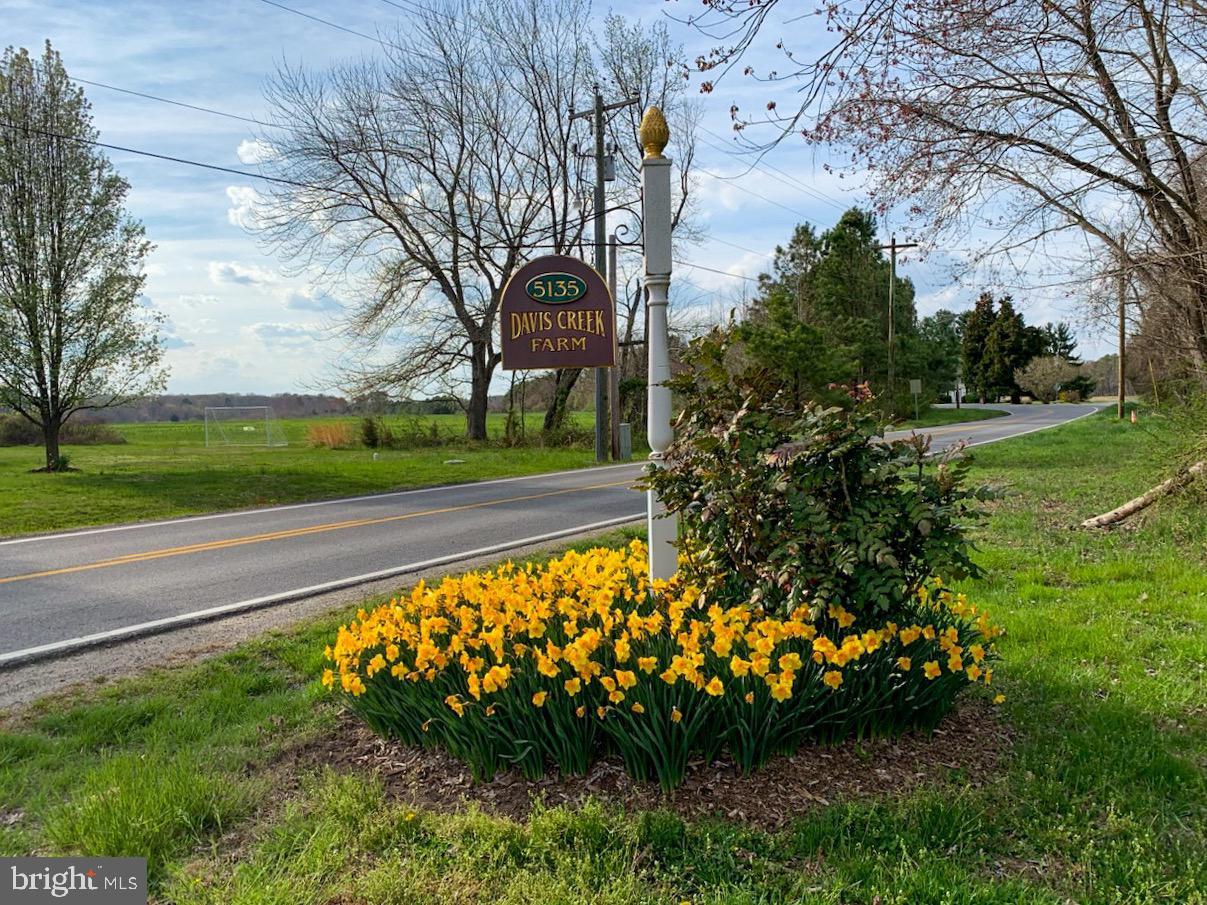 PINEY NECK - Farm