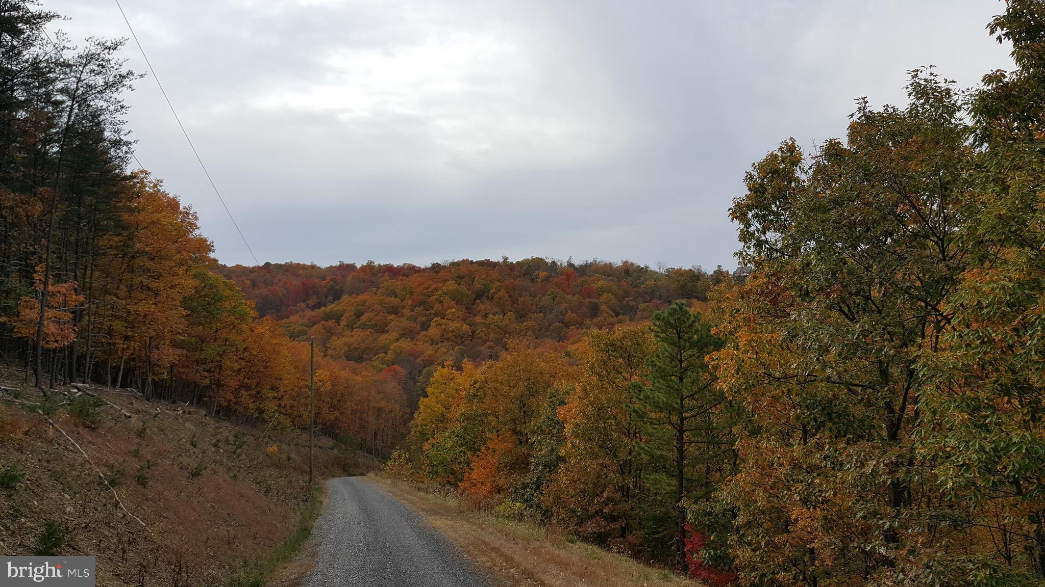 BLUFFS ON THE POTOMAC - Land