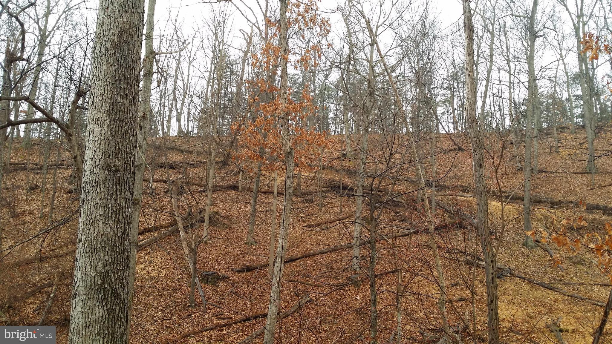 BLUFFS ON THE POTOMAC - Land