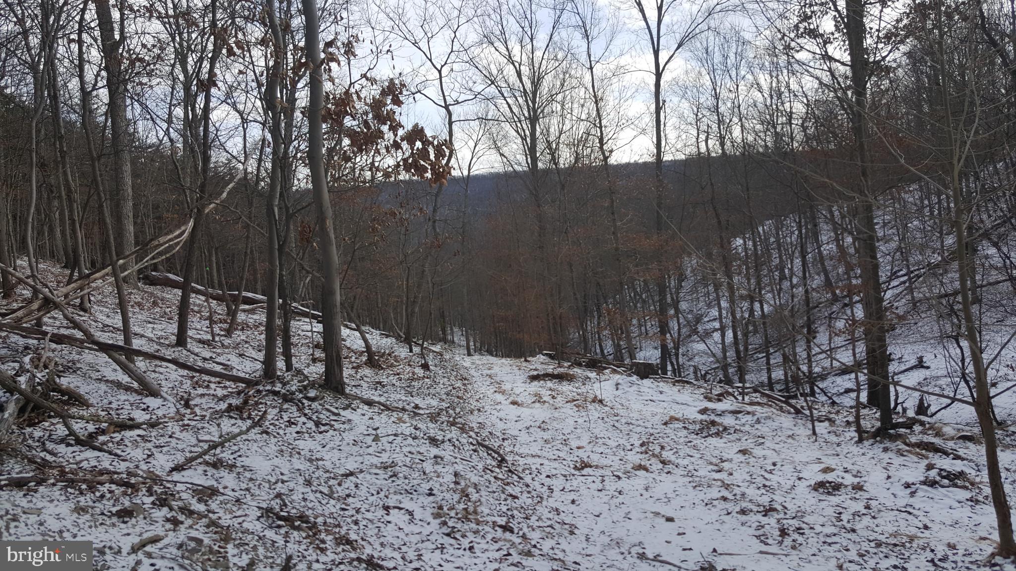 BLUFFS ON THE POTOMAC - Land