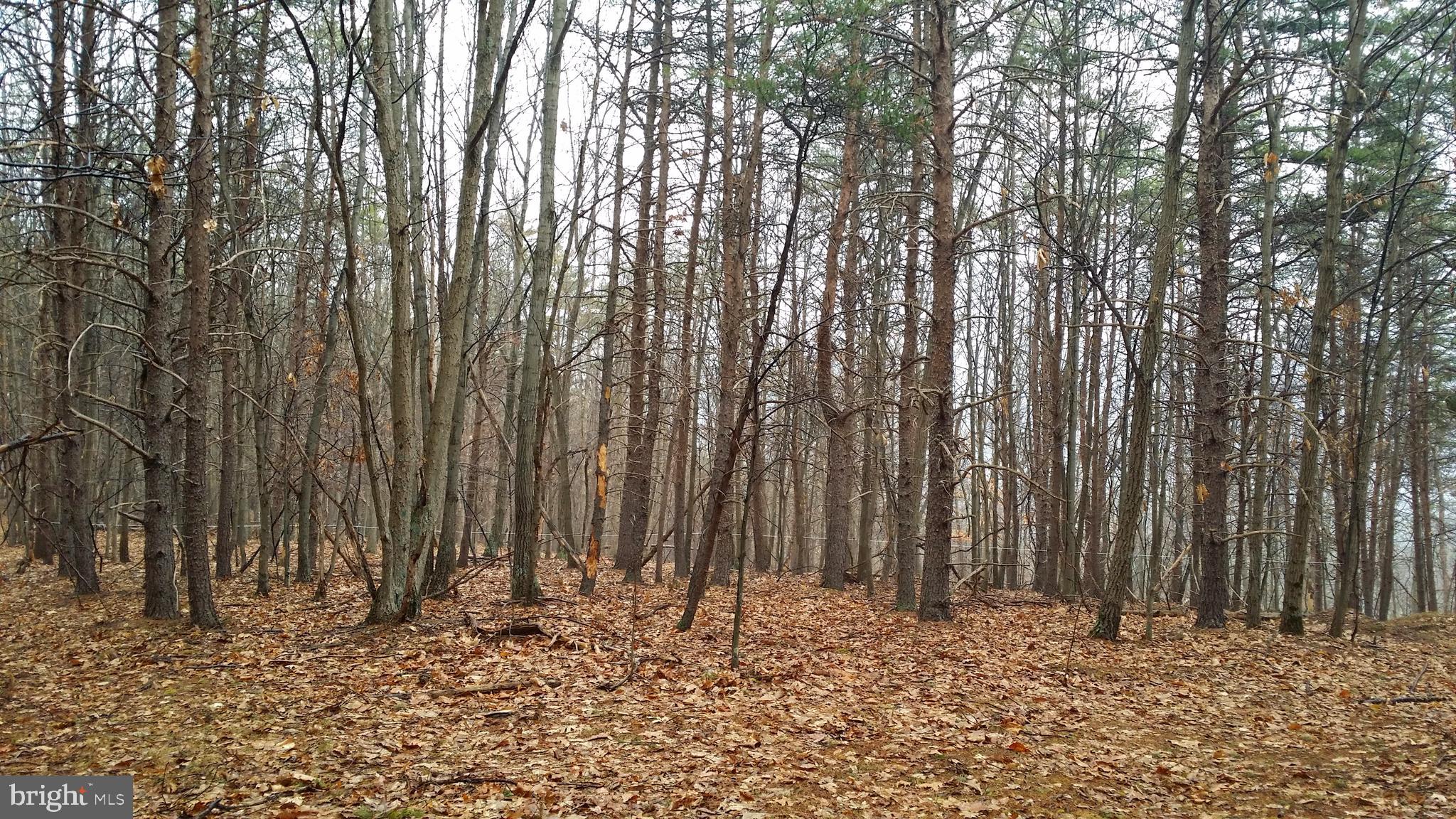 BLUFFS ON THE POTOMAC - Land