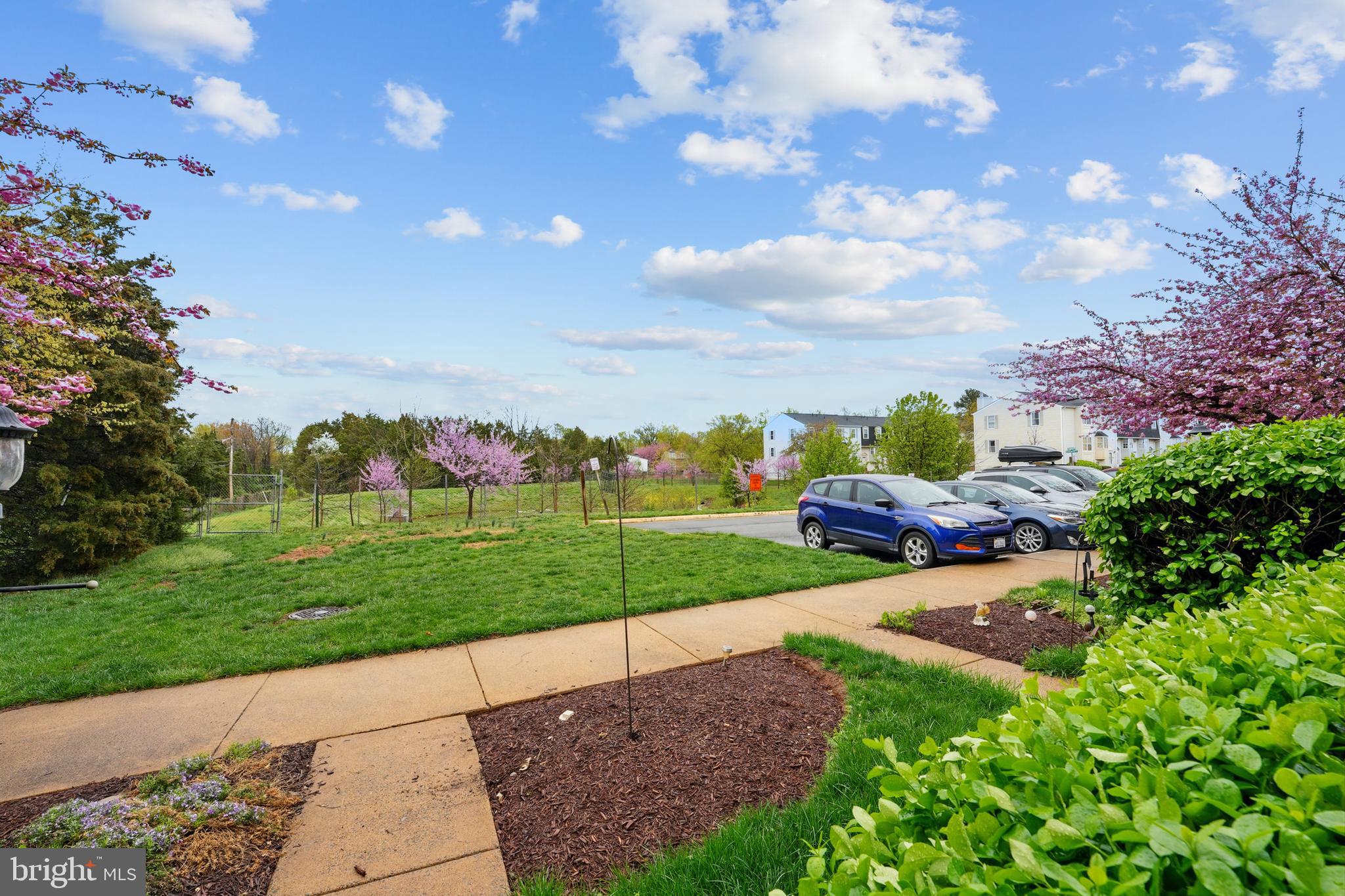BRIGHTON COMMONS - Residential
