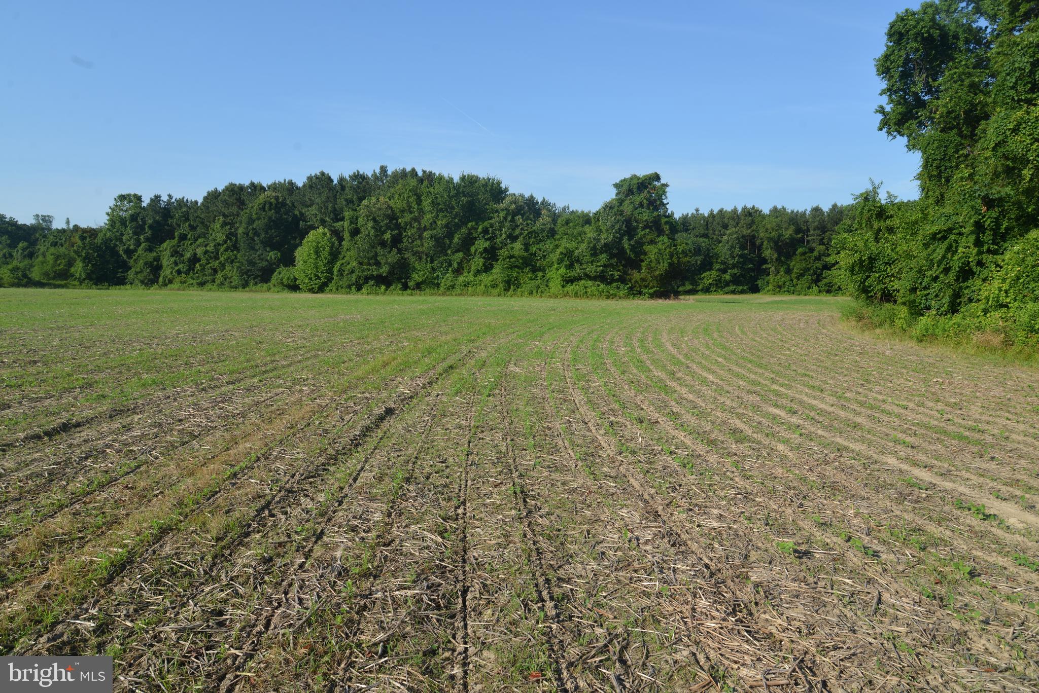 -0- - Land