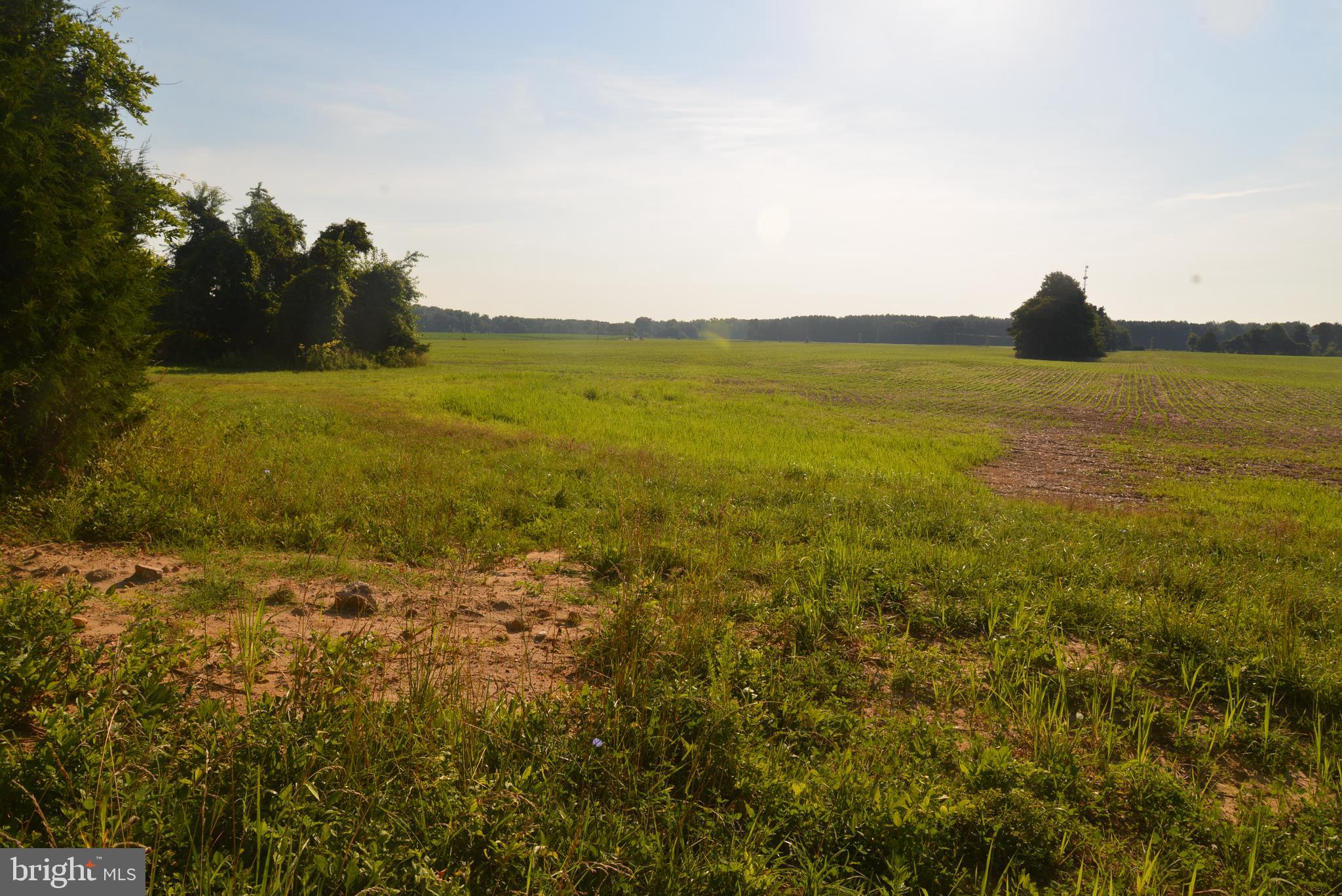 -0- - Land