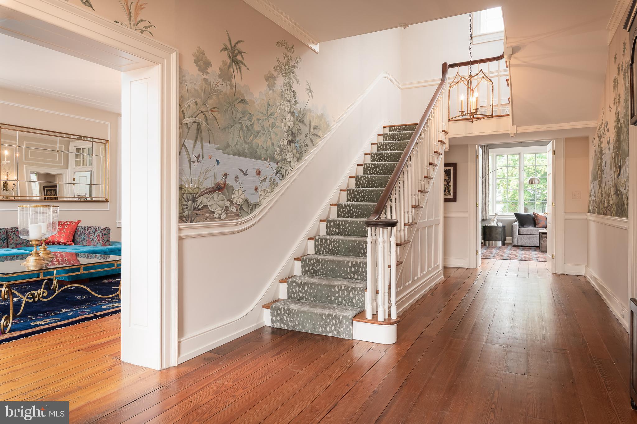 HISTORIC  DOWNTOWN FREDERICKSBURG - Residential