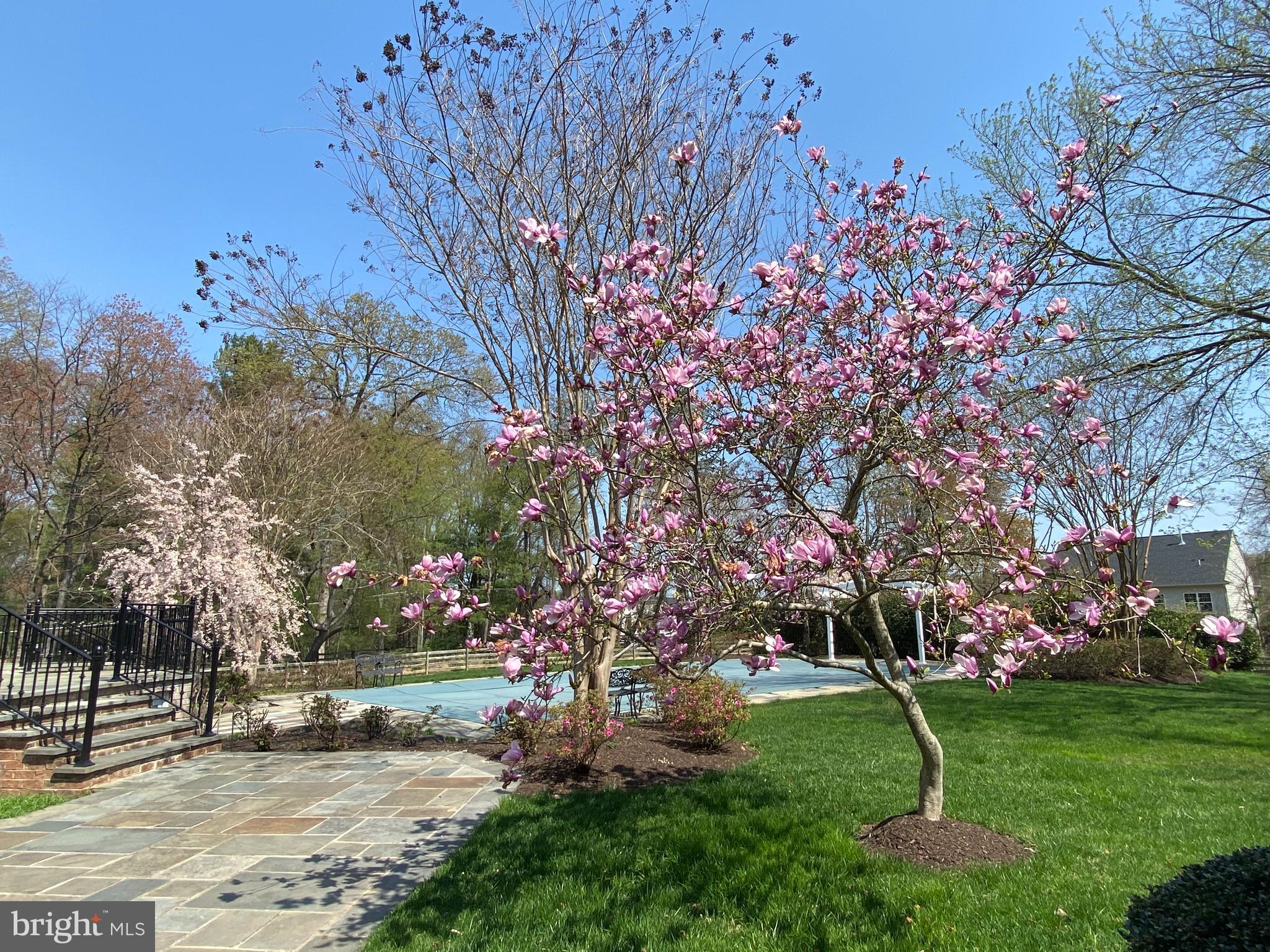 GREAT FALLS ESTATES - Residential