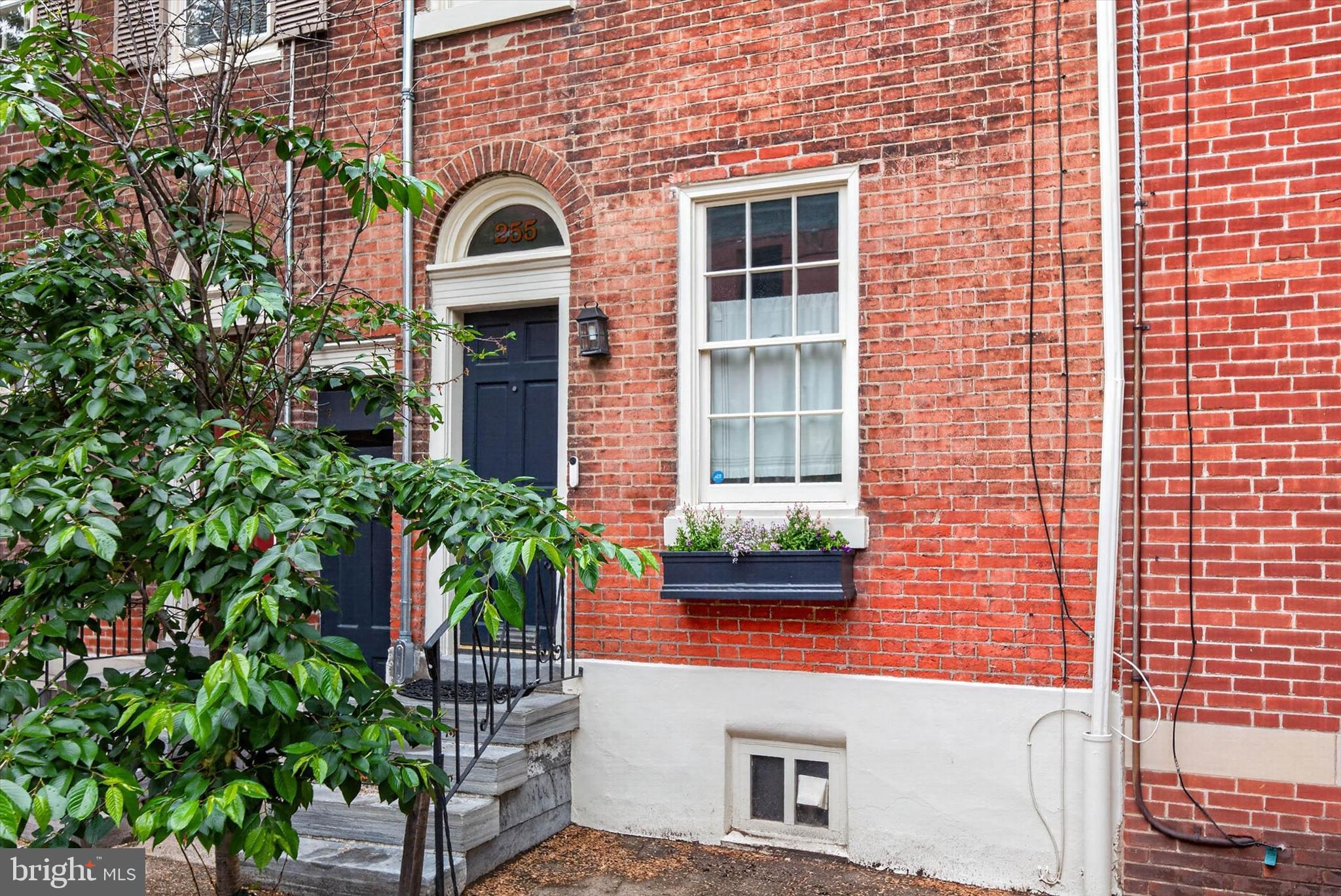 QUEEN VILLAGE - Residential