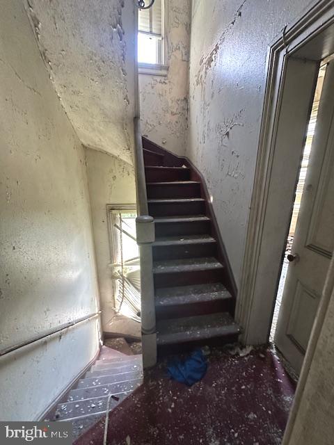 HARLEM PARK - Residential