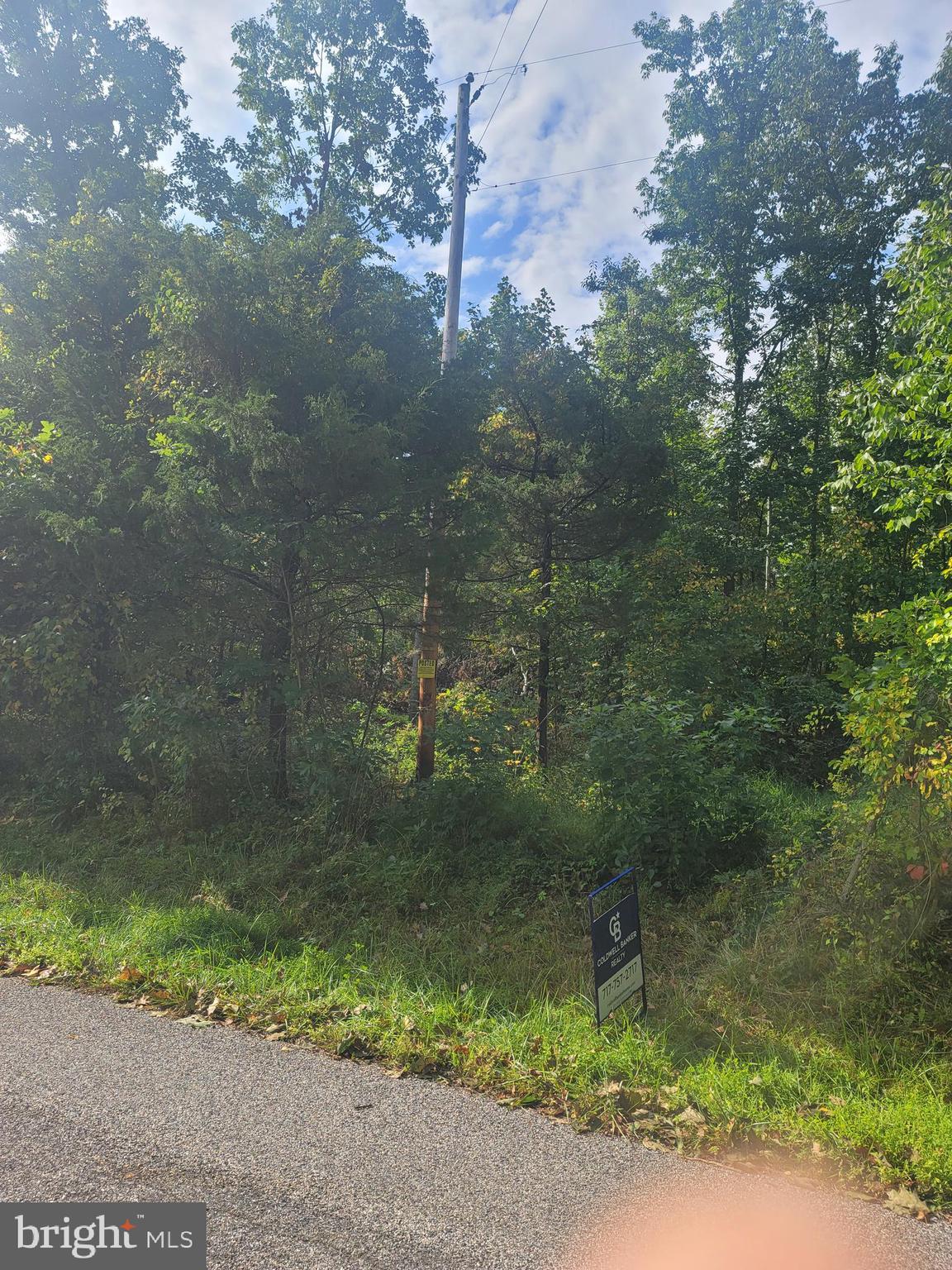 5+ Acre  wooded  lot in rural Dover. This is the perfect lot for someone who wants privacy and to build a dream home surround with wildlife and great views. Lot is newly perc approved for at grade septic system and electric hookup .