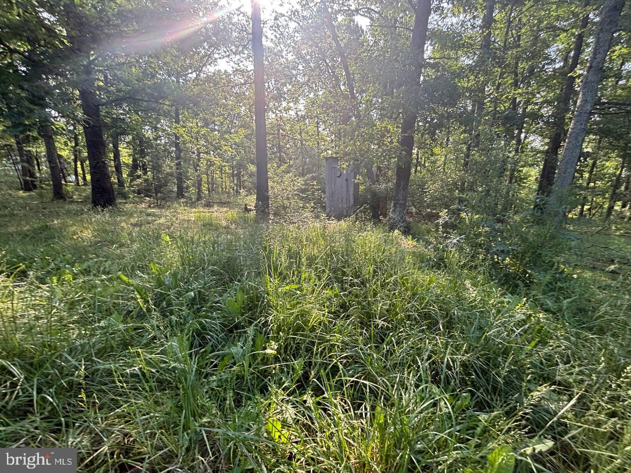 CEDAR GROVE ESTATES - Residential