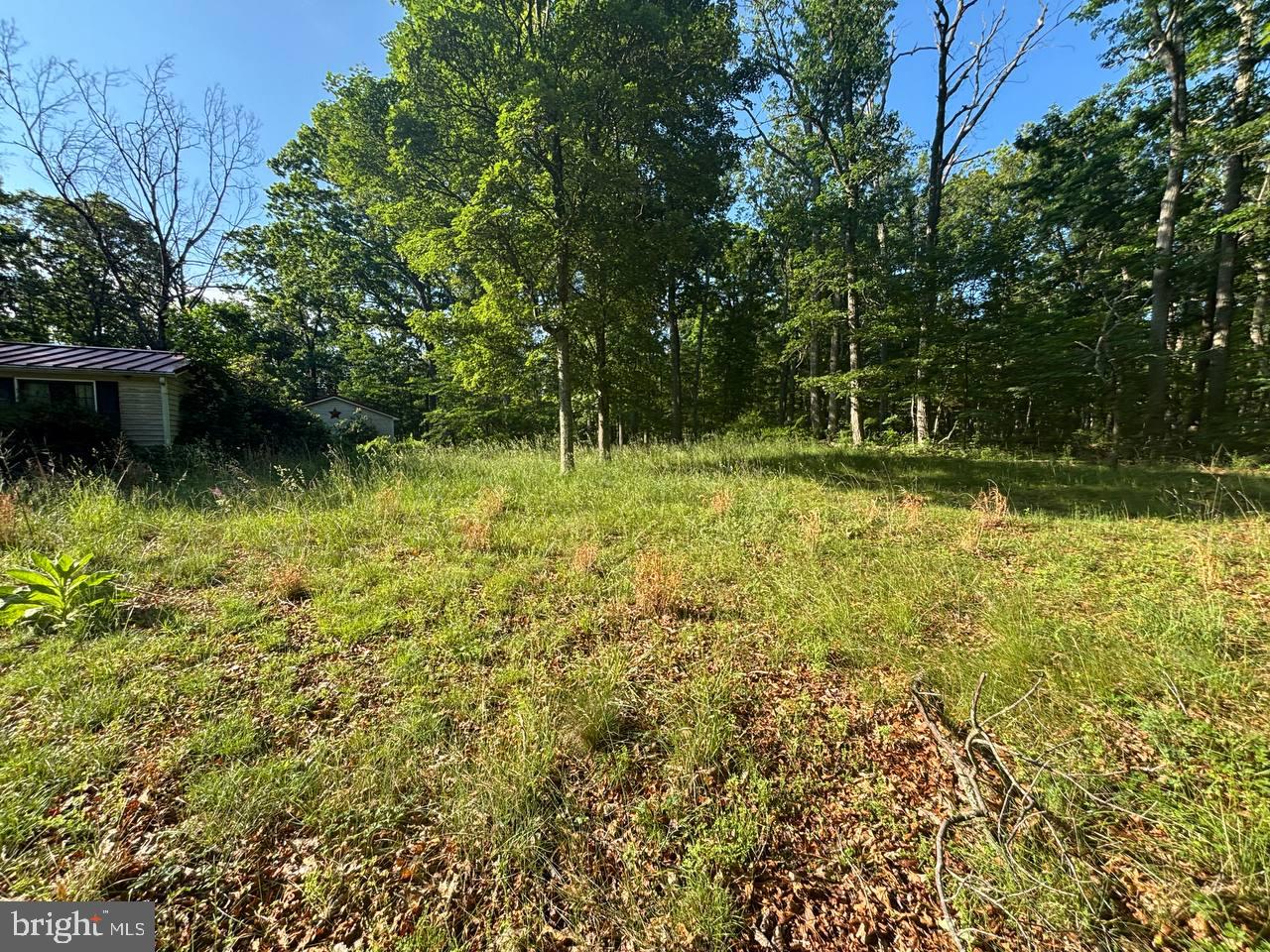 CEDAR GROVE ESTATES - Residential
