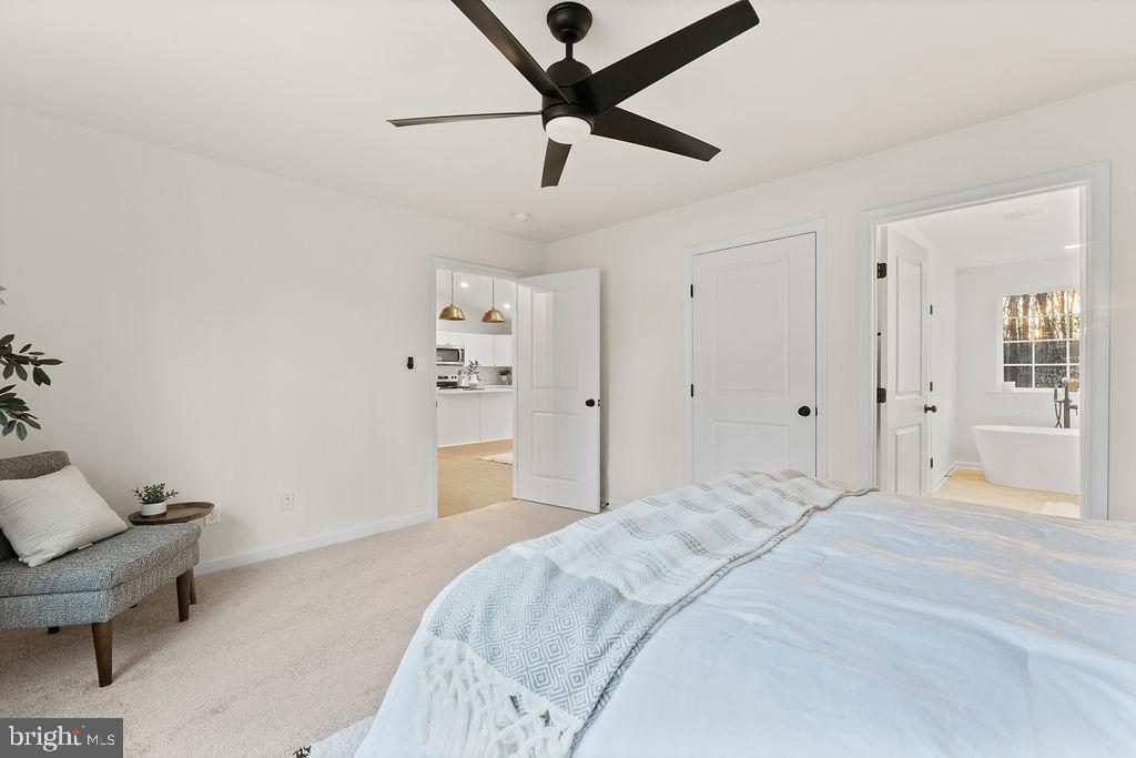 CUCKOO'S NEST - Residential