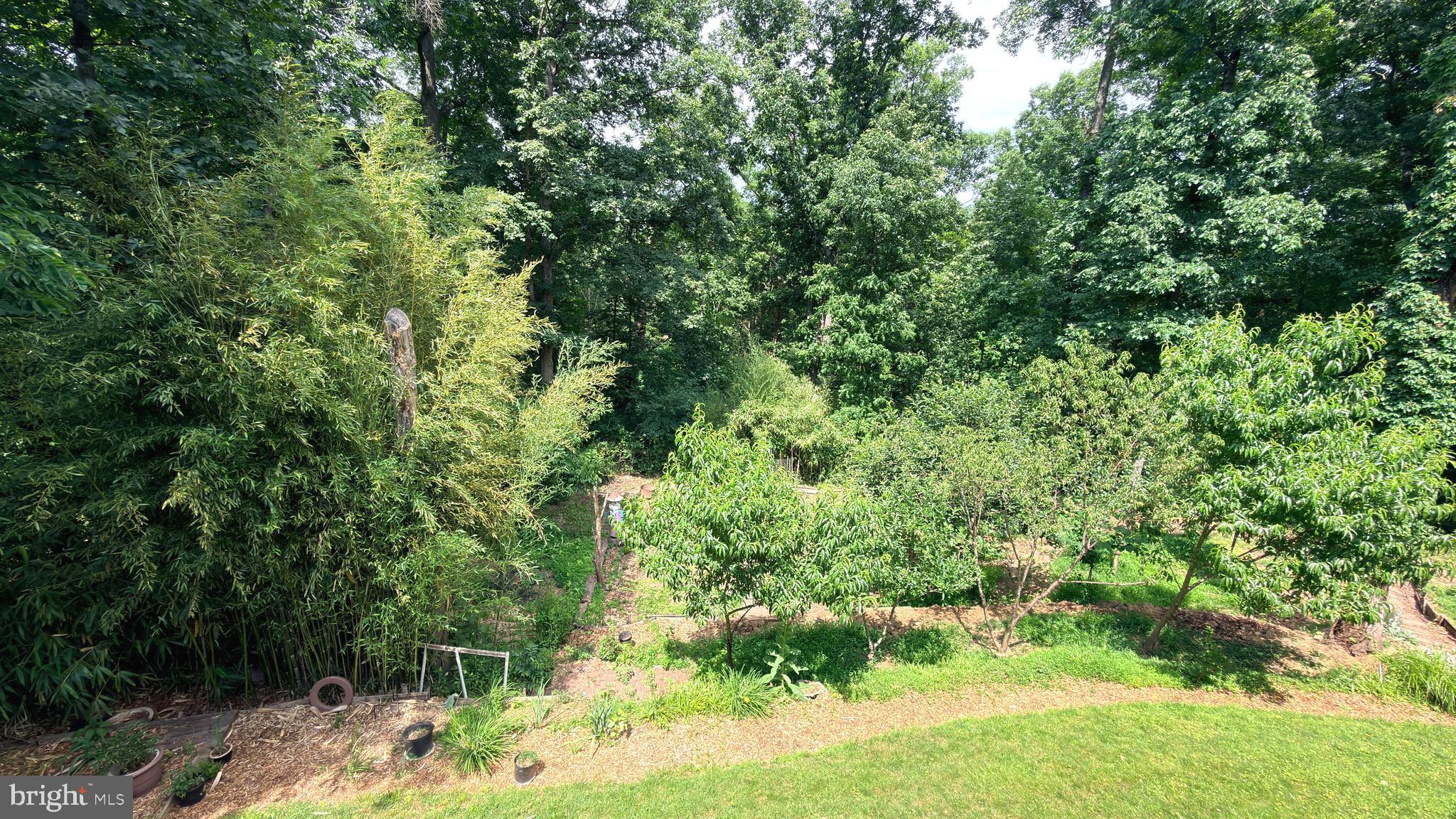 ASHBURN FARM - Residential