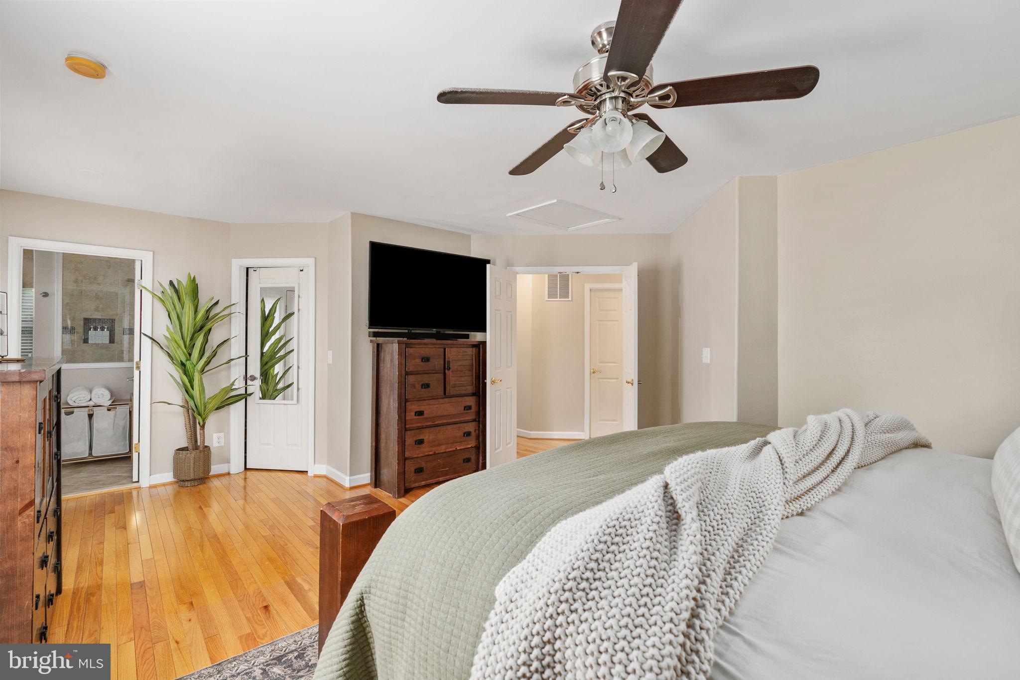 SHADE TREE - Residential