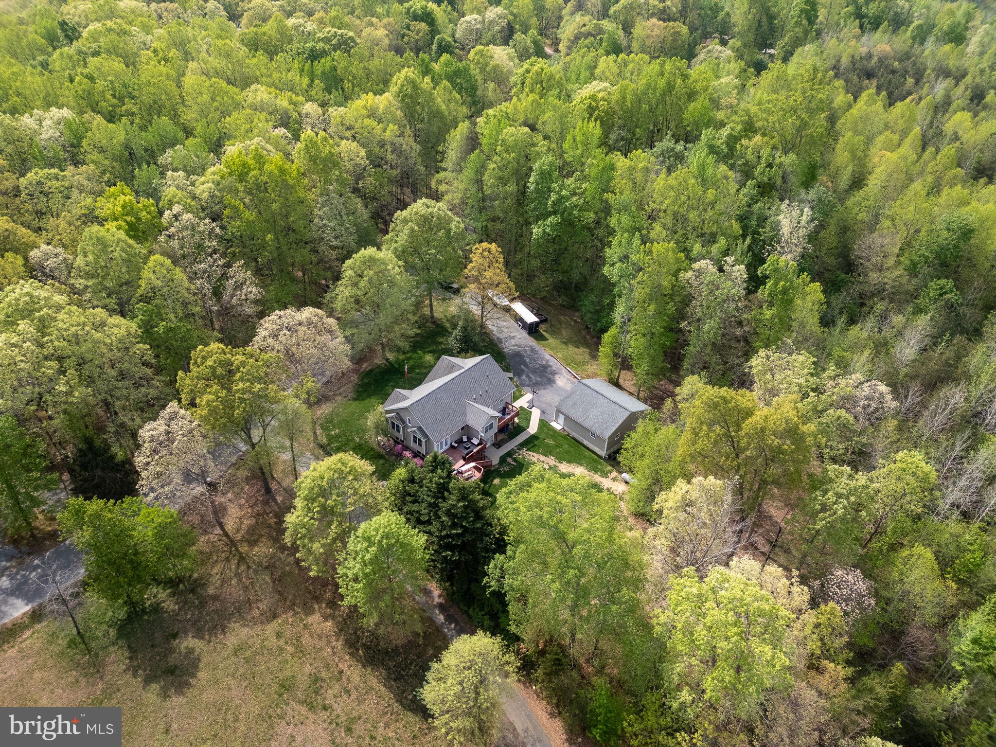 SHADE TREE - Residential