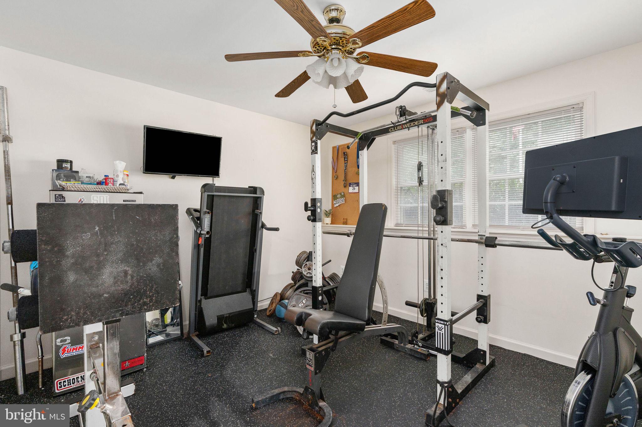 SHADE TREE - Residential