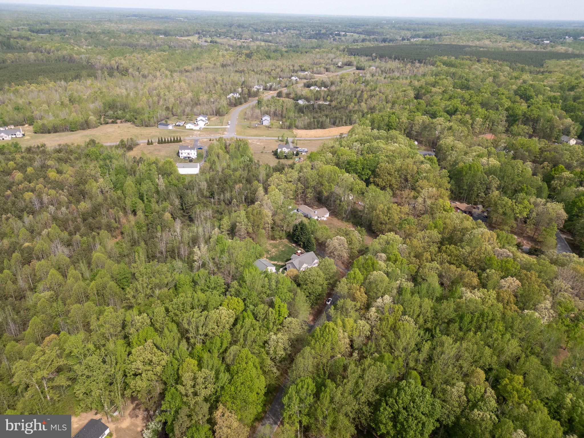 SHADE TREE - Residential