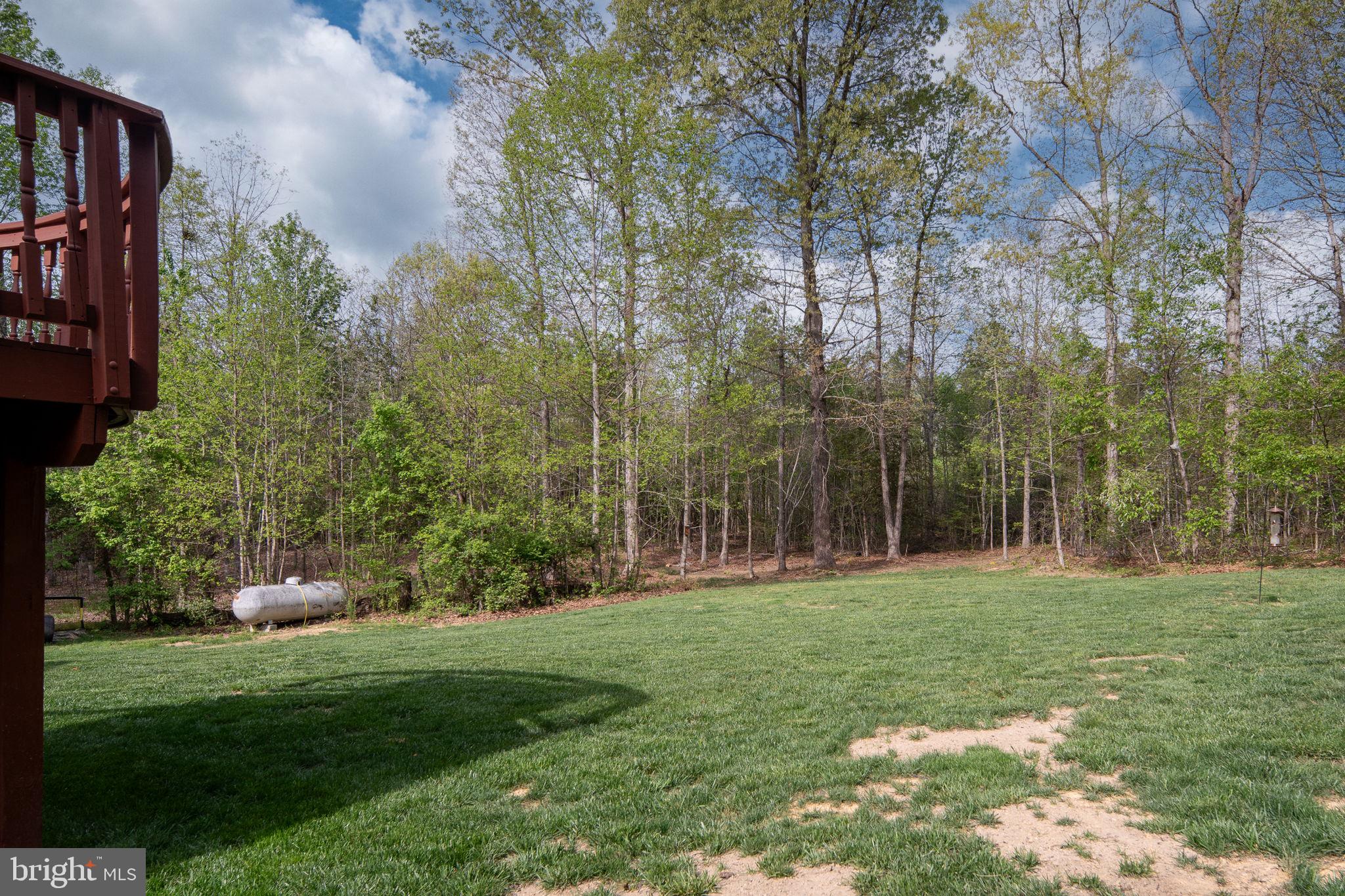 SHADE TREE - Residential