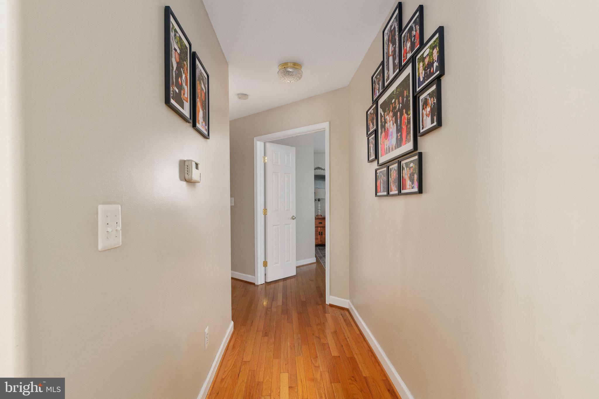 SHADE TREE - Residential