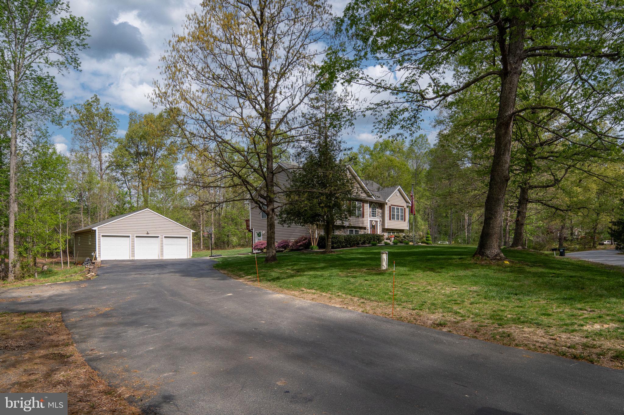 SHADE TREE - Residential