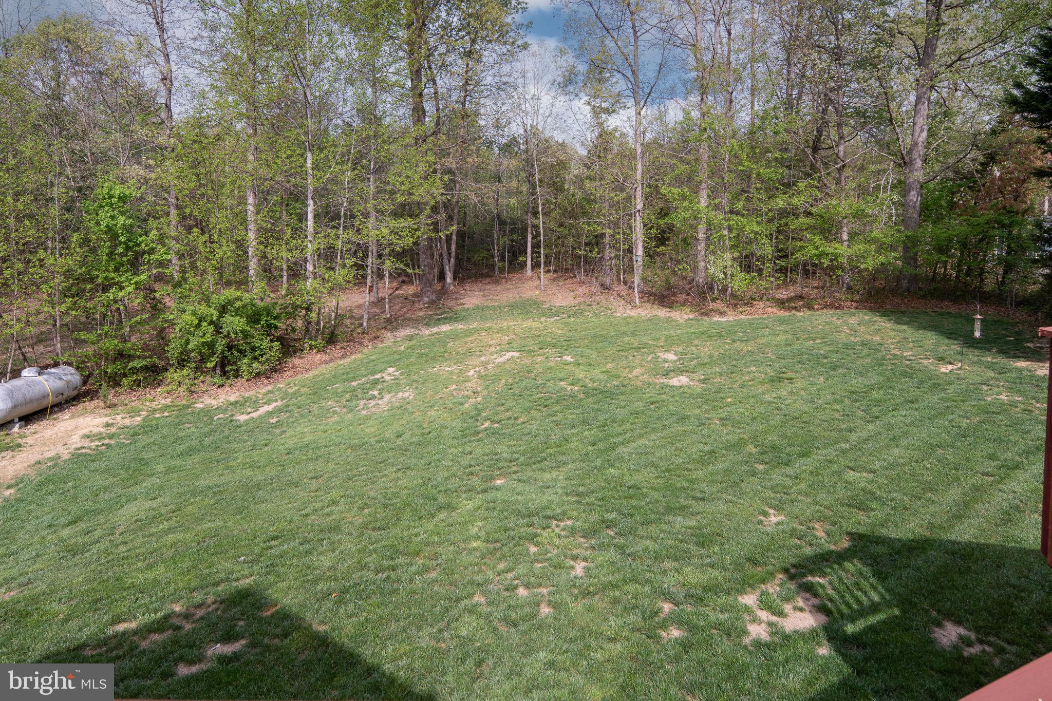 SHADE TREE - Residential