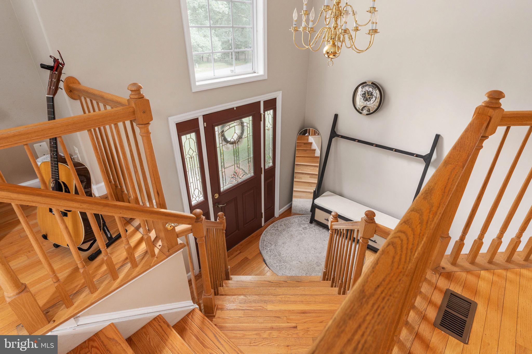 SHADE TREE - Residential
