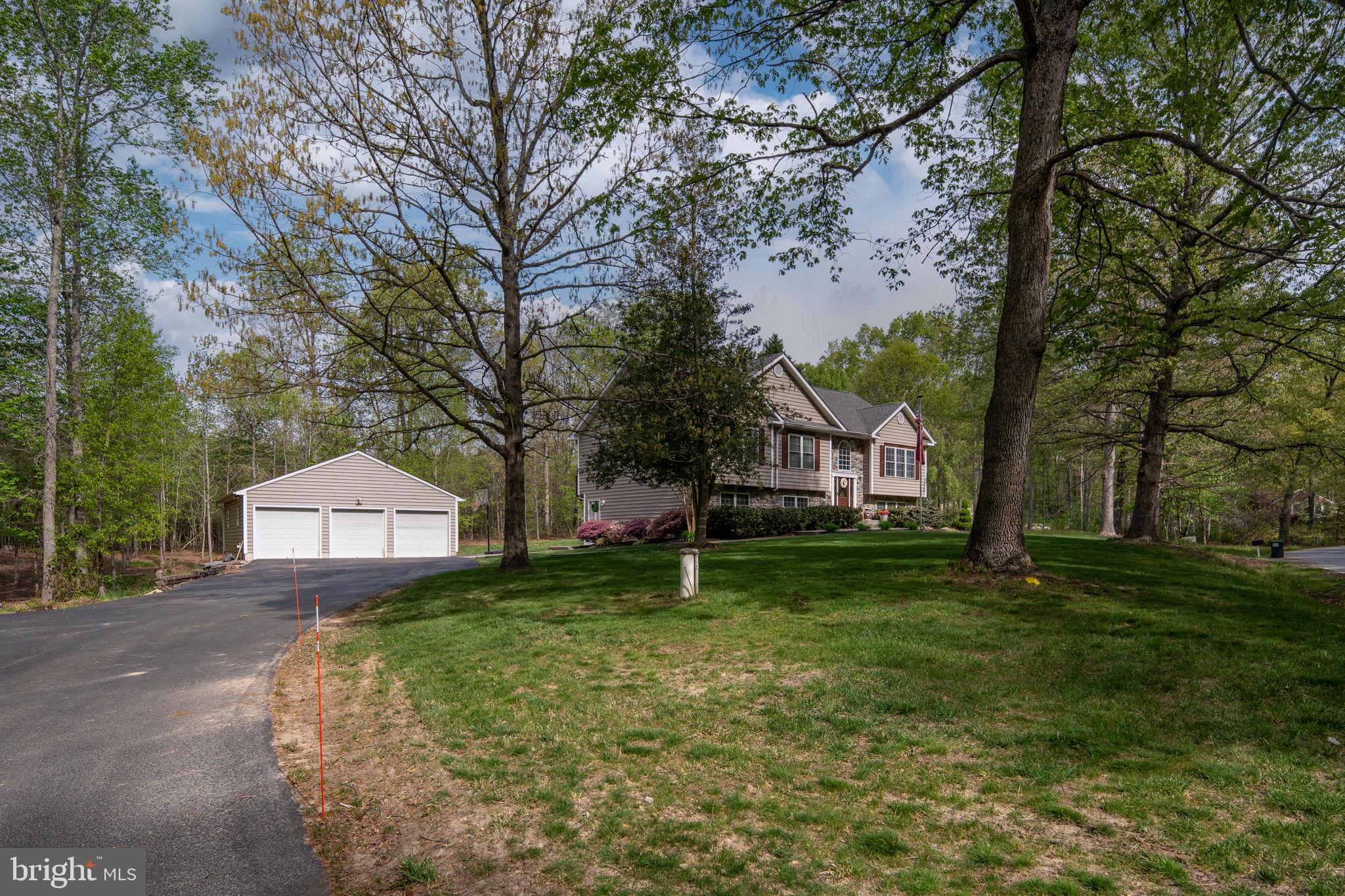 SHADE TREE - Residential