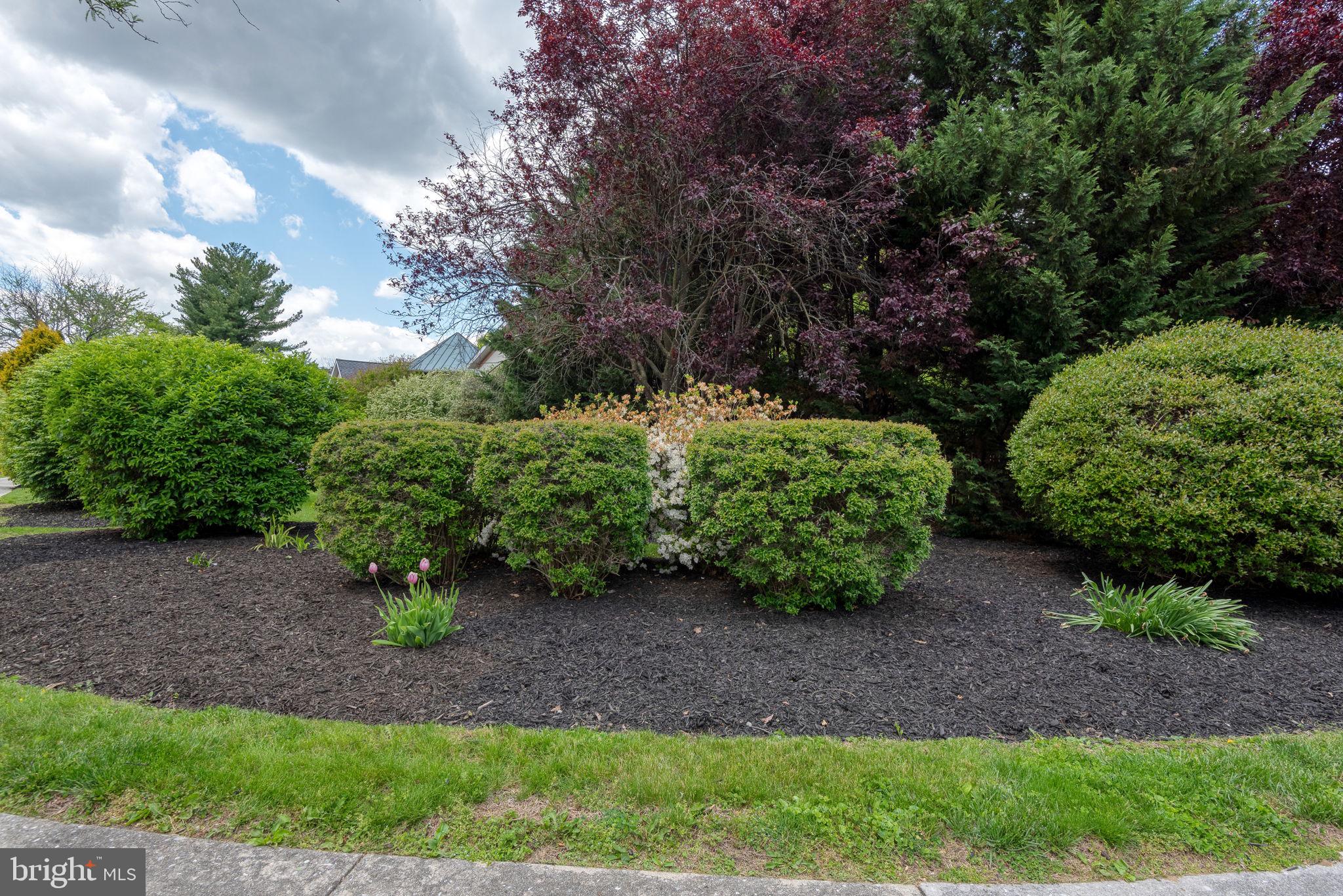 CLEARVIEW - Residential