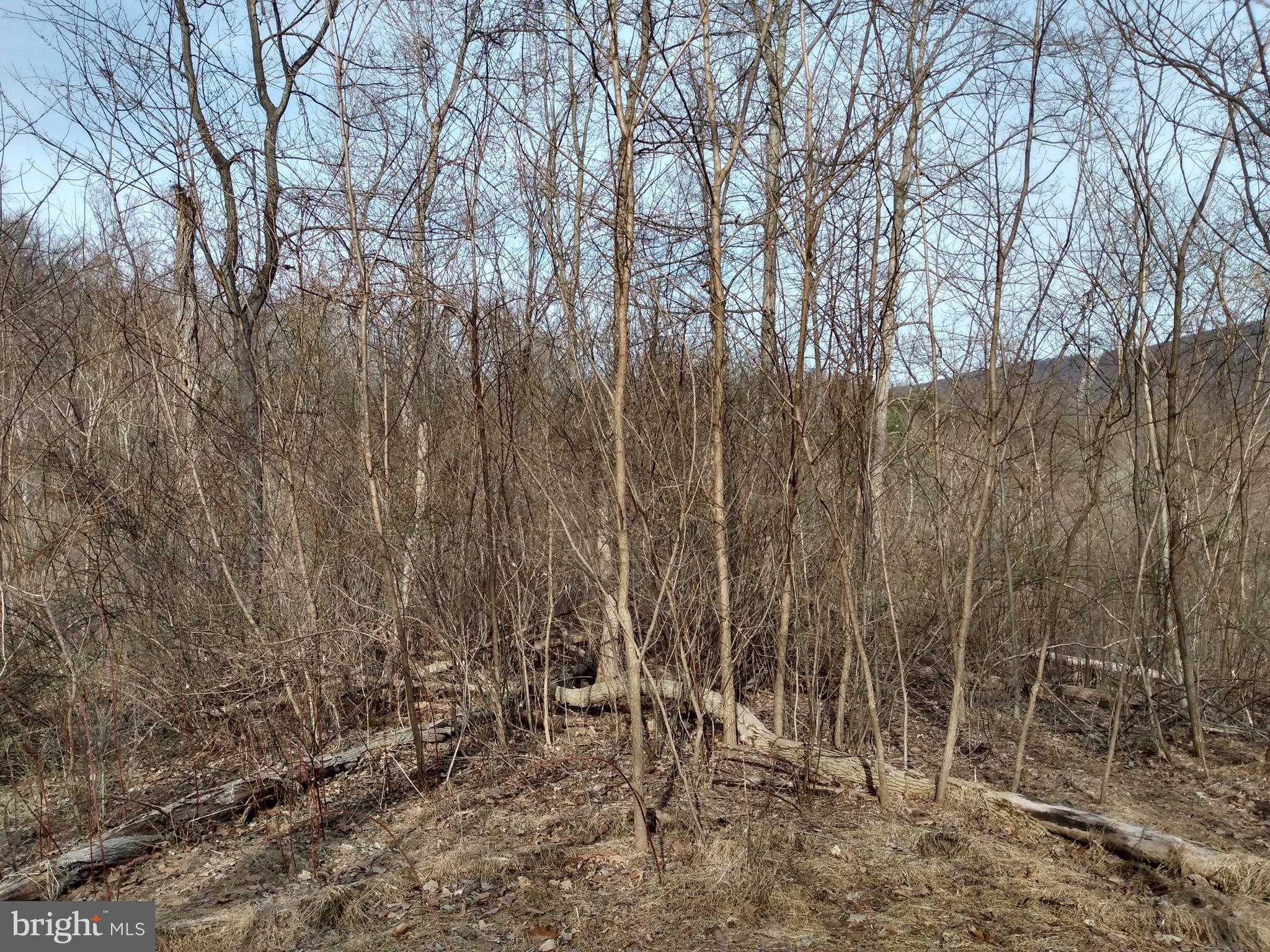 Gently sloping mountain land on a state maintained black top road, nice views from upper property, this property has been timbered but is a haven for Deer, Turkey, Grouse and Bear, a sportsman's paradise and a few excellent flats for building your mountain get-a-way or full-term residence. Cacapon River access nearby for all those water activities. Call Today.