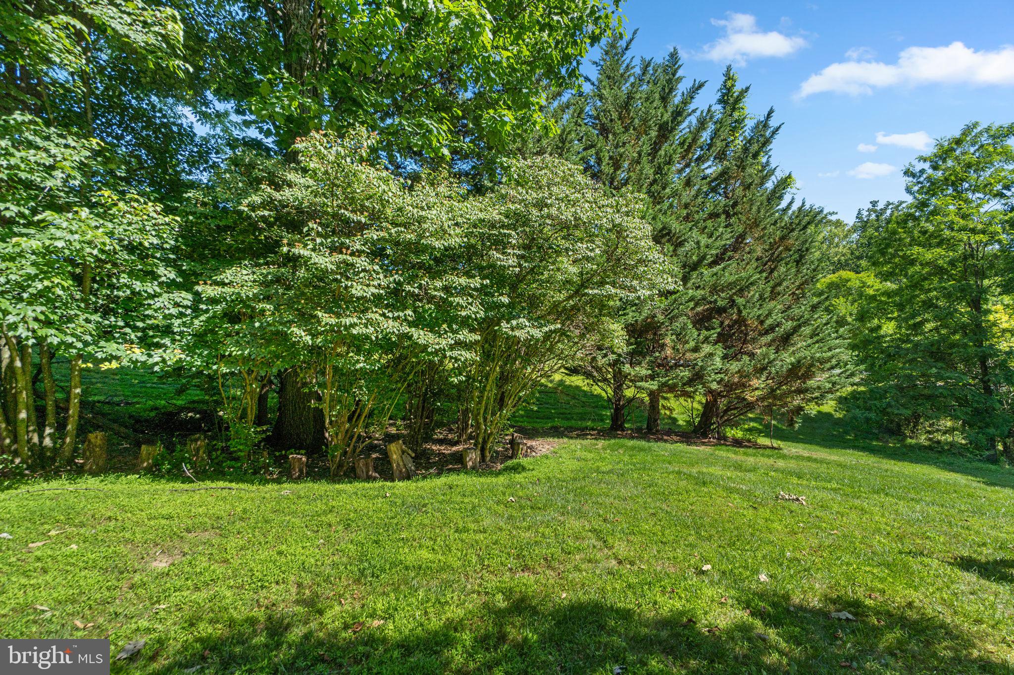 CLARK MEADOWS - Residential