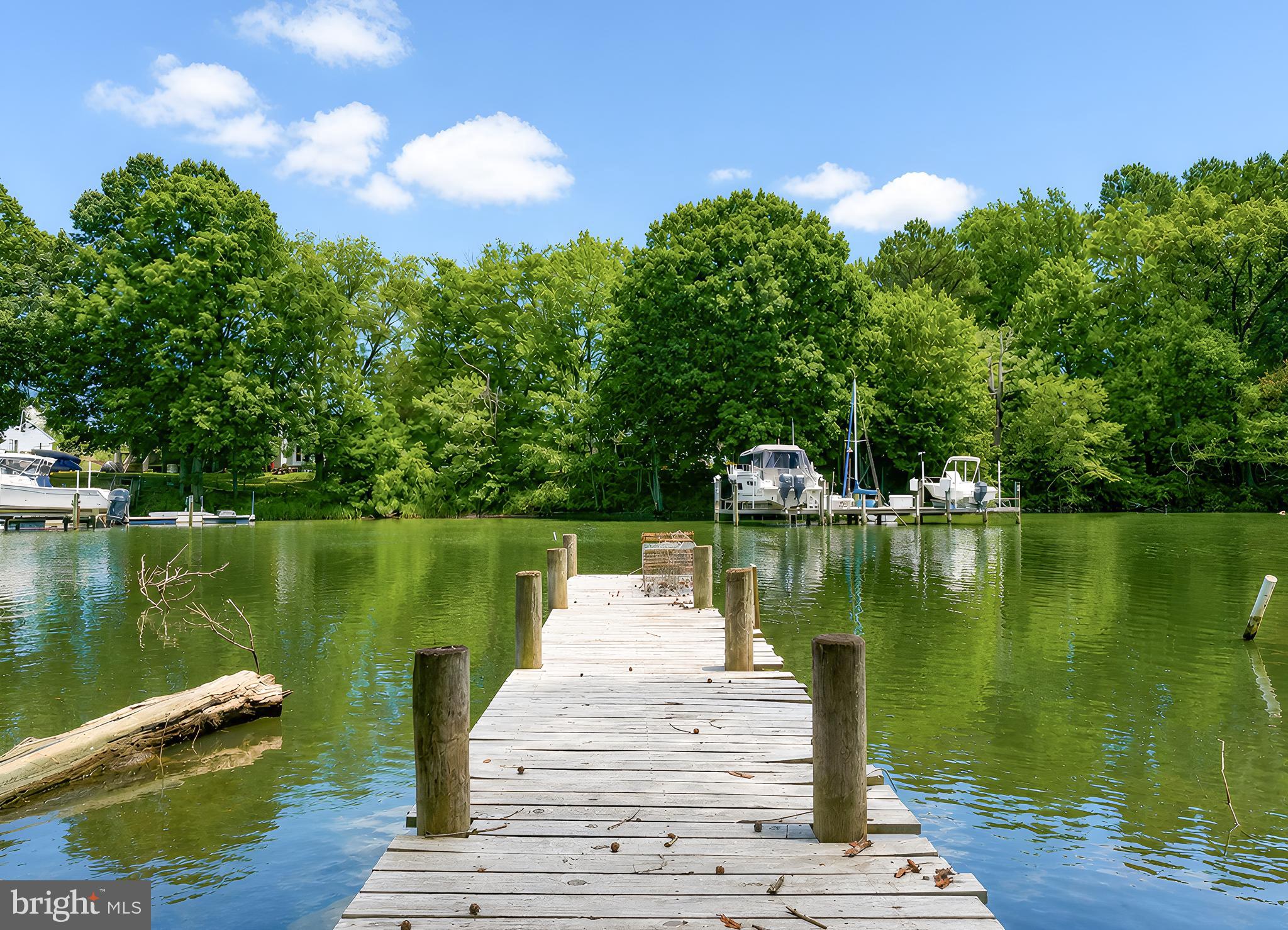 Waterfront on Smith Creek! Just in time for summer fun, this waterfront rambler, with private pier, will have you fishing and crabbing from morning until night. Hardwood flooring greets you upon entering and flows throughout most of the main level.  Tilt-out windows and a screened porch ideal for relaxing and enjoying all the sights and sounds of living on the water. New paint and ceiling fans throughout add a fresh new look. All the electric upstairs has been replaced. Roof is 2 years old. Septic is newer to include drain-fields and distribution box. Washer and dryer and well pump are 2-3 years old.  The basement is unfinished and a blank canvas to make your own.  Situated on a shaded lot with approximately 100 feet of waterfront, the property also features a paved driveway, generous parking, and a handicap-accessible ramp. Tucked away on a quiet dead-end street, yet conveniently located near Webster Field, this all-electric home offers privacy, comfort, and plenty of potential. Come see everything this waterfront property has to offer!  Additionally, this home is not in the flood plain.