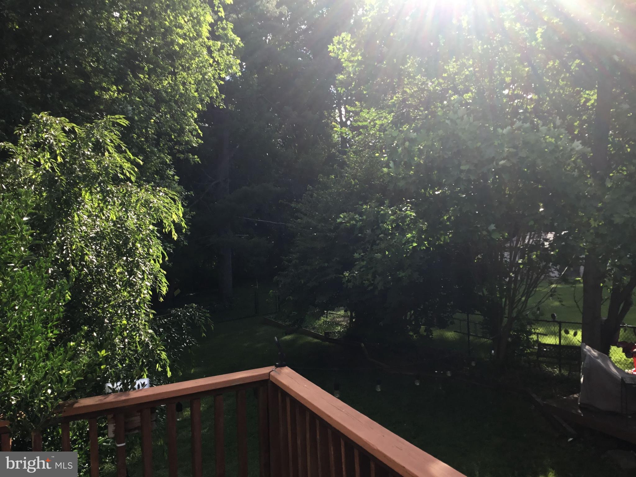 RANDOLPH HILLS - Residential Lease