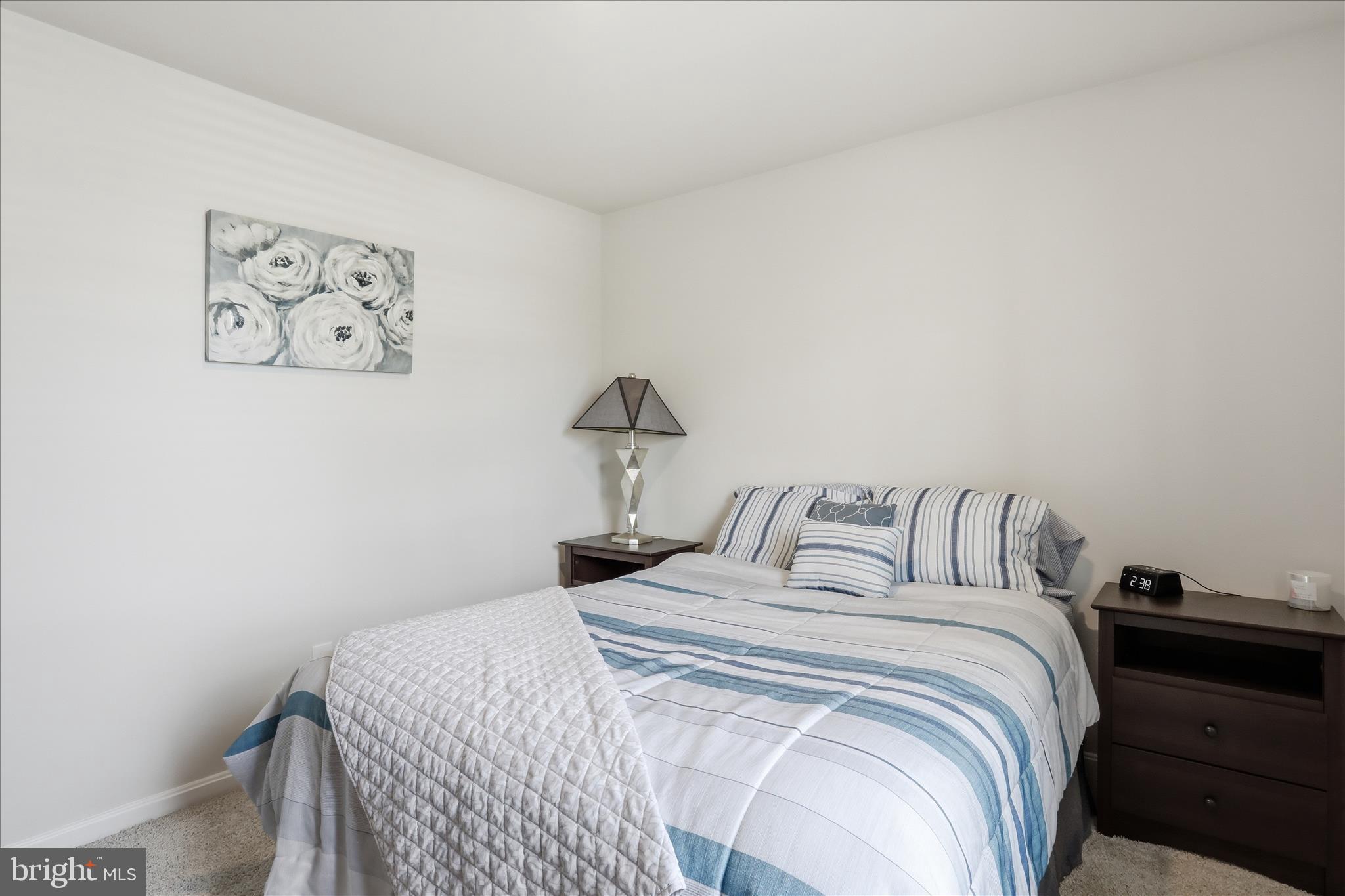 SHENANDOAH CROSSING - Residential