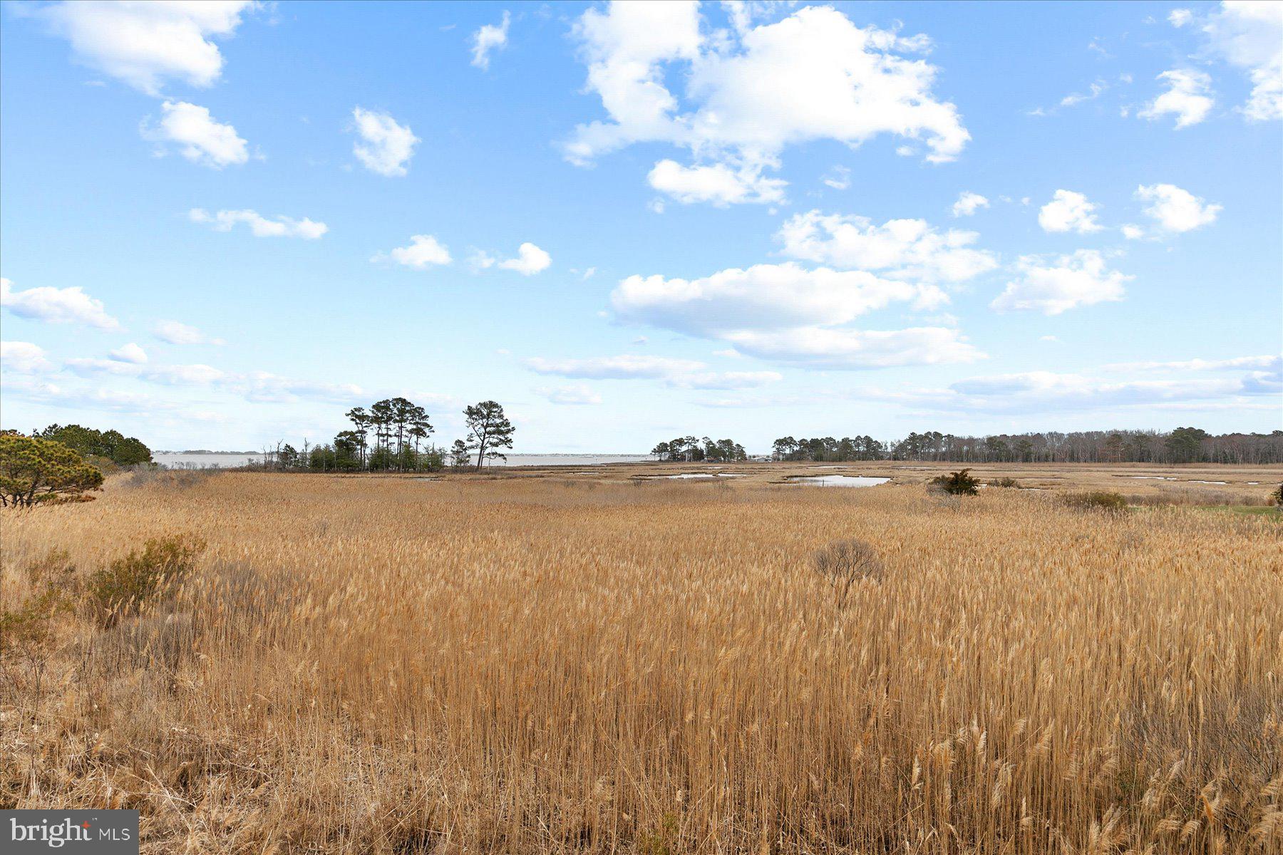 BAYVILLE SHORES - Residential