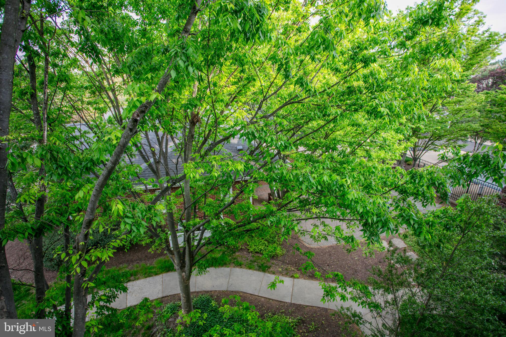 SOUTH GLEN - Residential