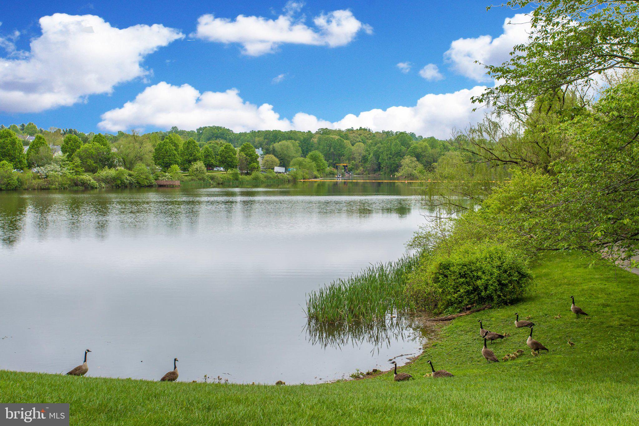 GUNNERS LAKE VILLAGE - Residential