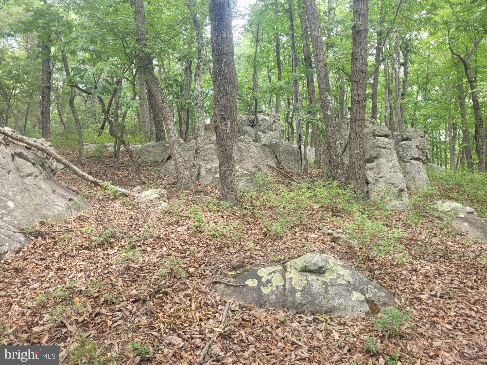 RIVER RIDGE - Land